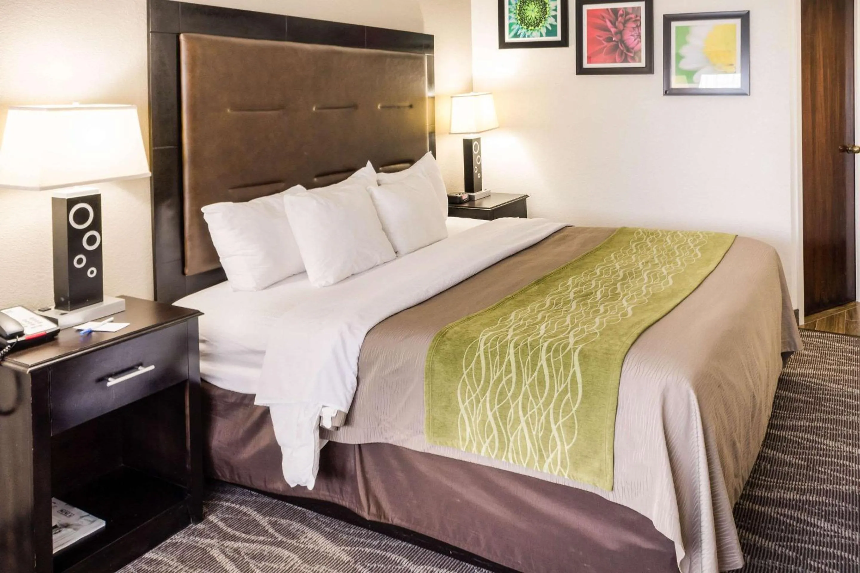 Standard King Room - Non-Smoking  in Comfort Inn Downtown Charleston