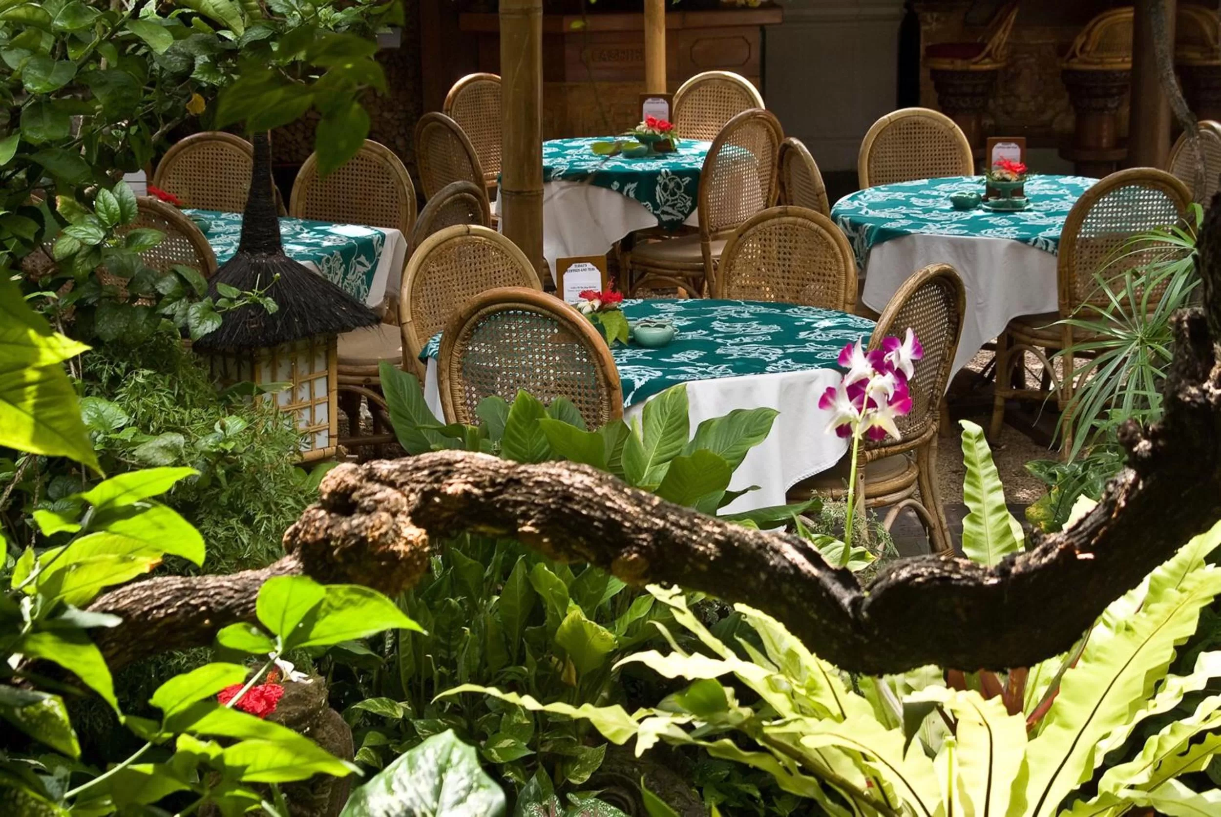 Restaurant/places to eat in Poppies Bali