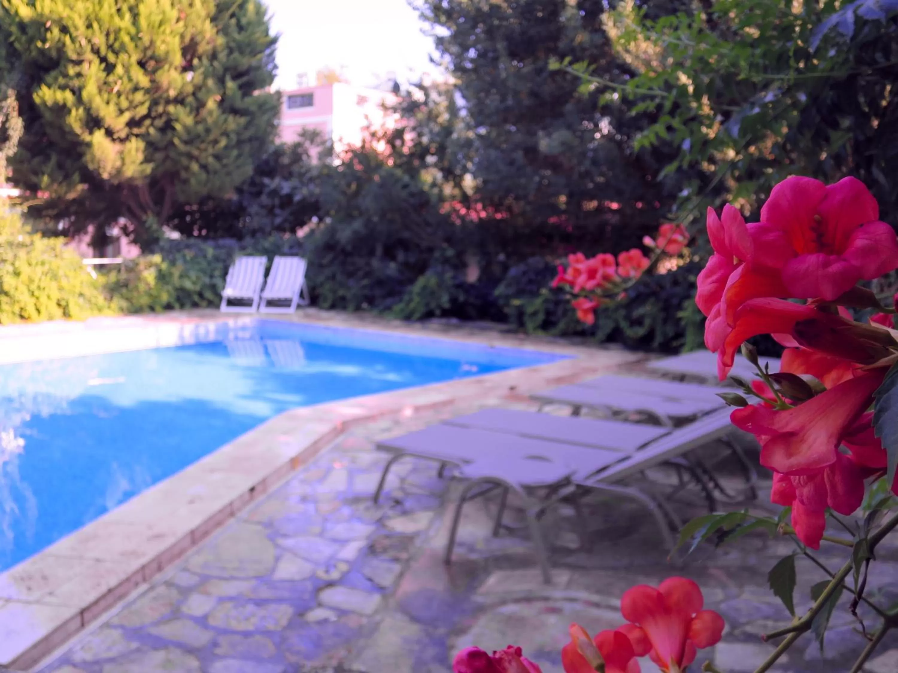 Swimming pool in Hotel Kalehan