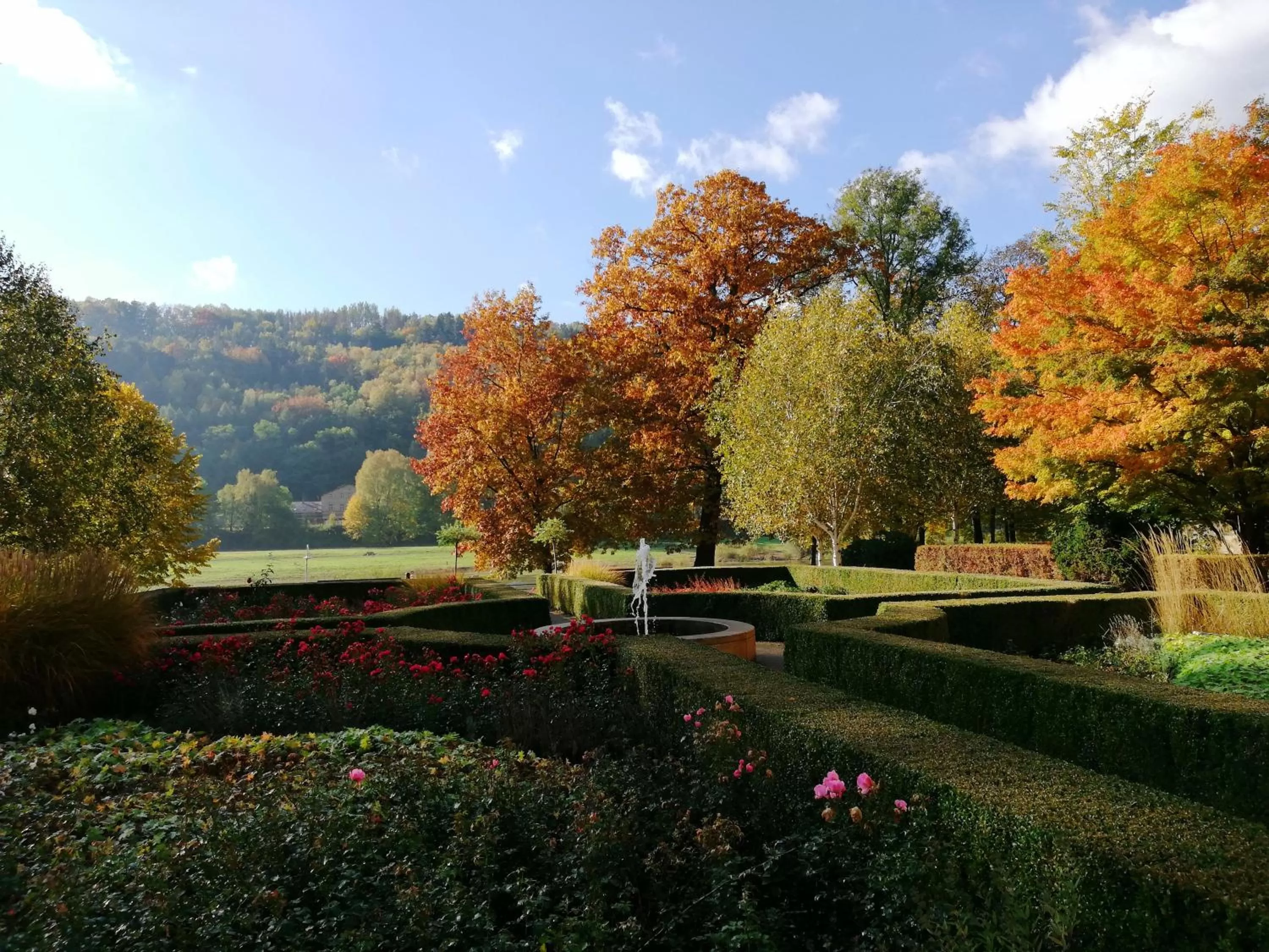 Garden in Parkhotel Bad Schandau mit SPA
