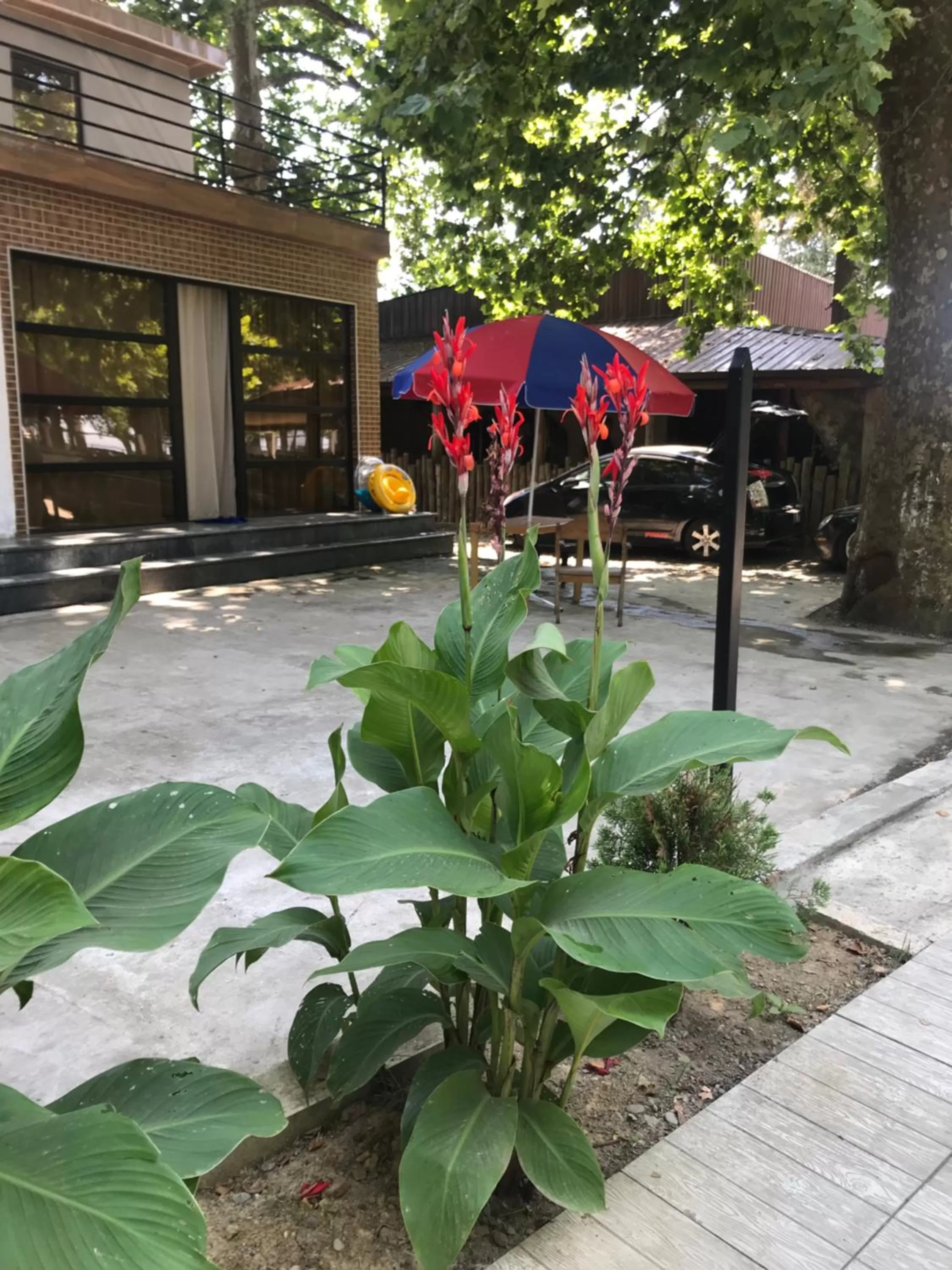 Garden view in Hotel Nino Ureki