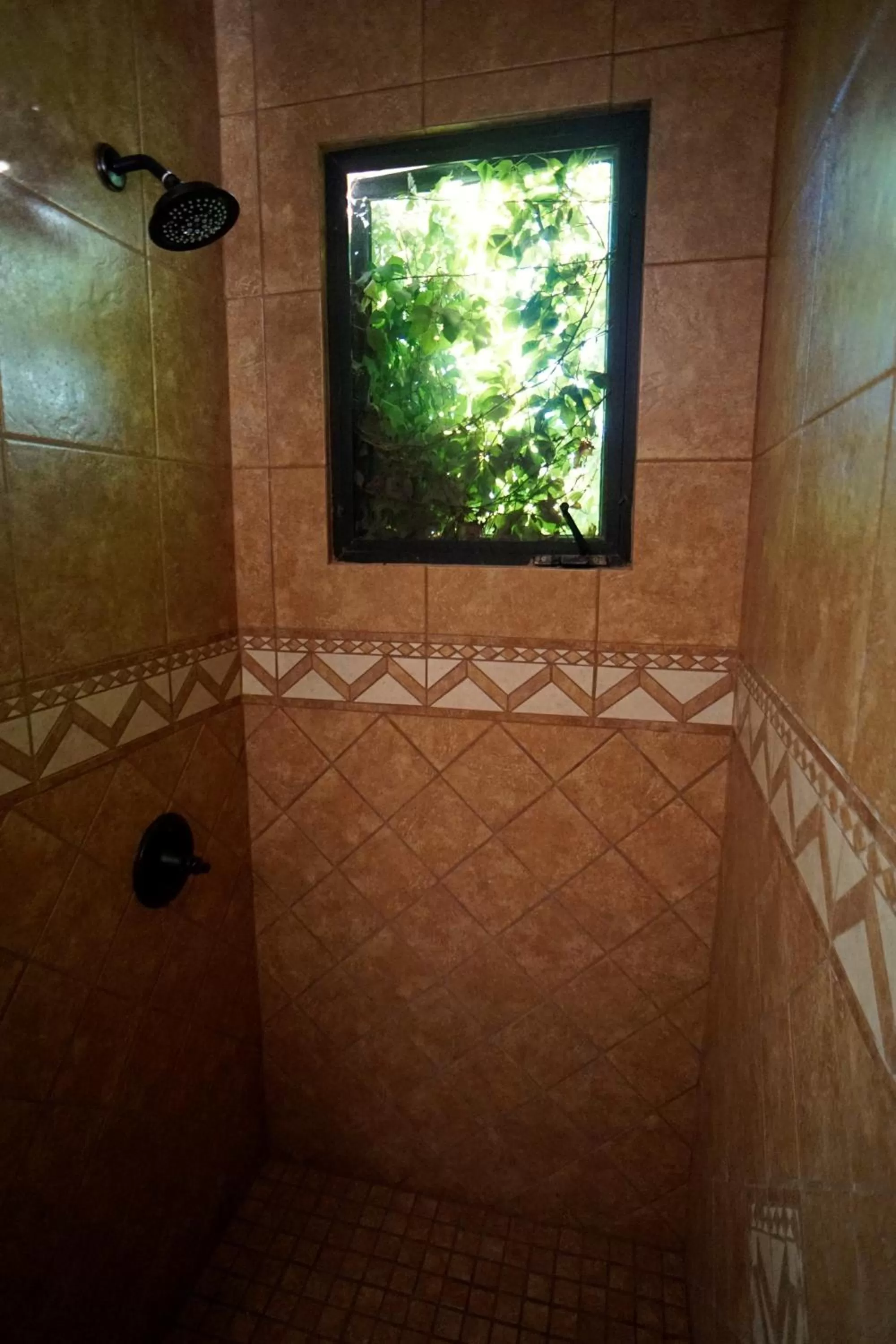 Shower, Bathroom in Cerritos Beach Inn