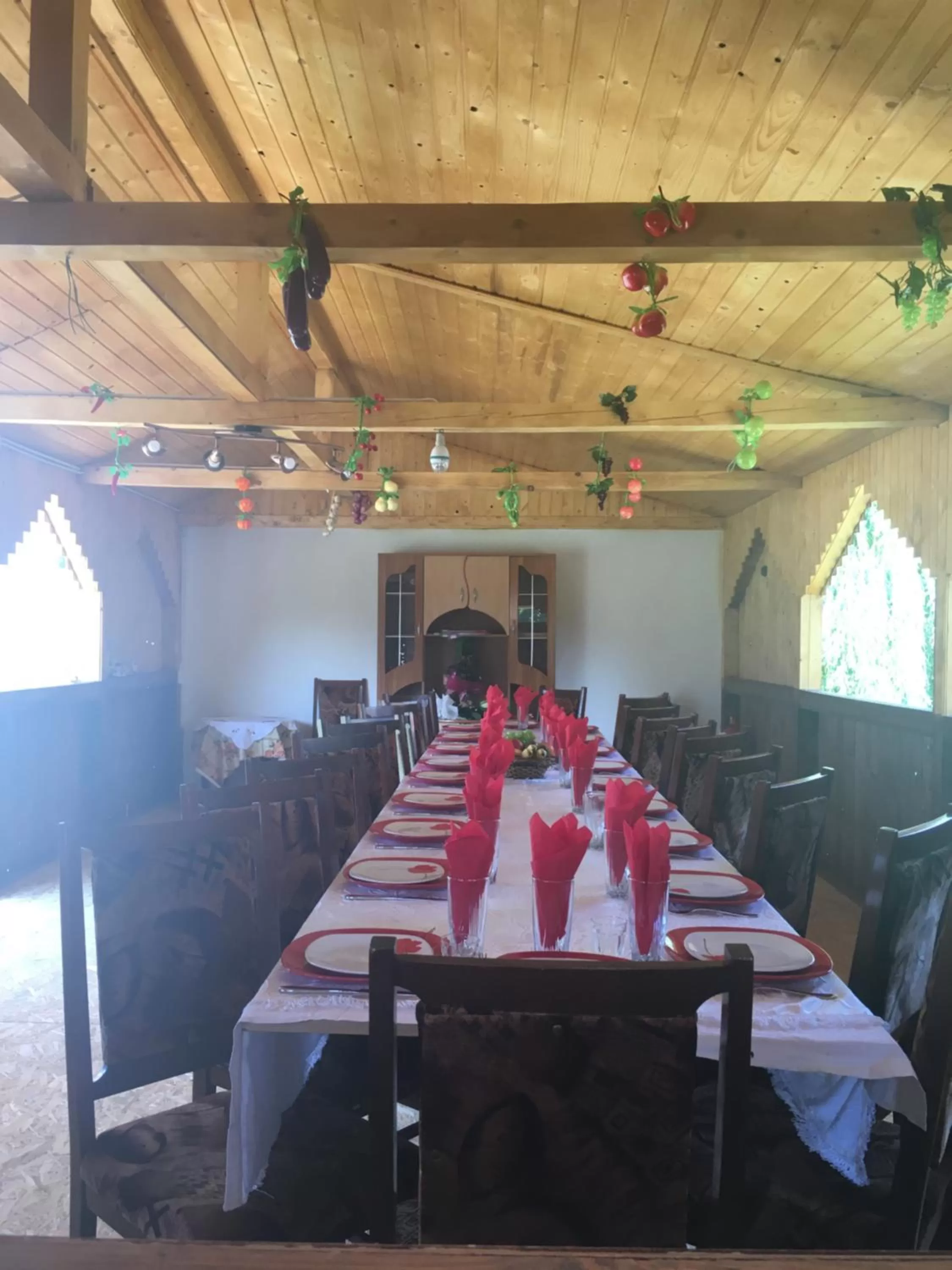 Banquet/Function facilities in Pensiunea SilvAnka