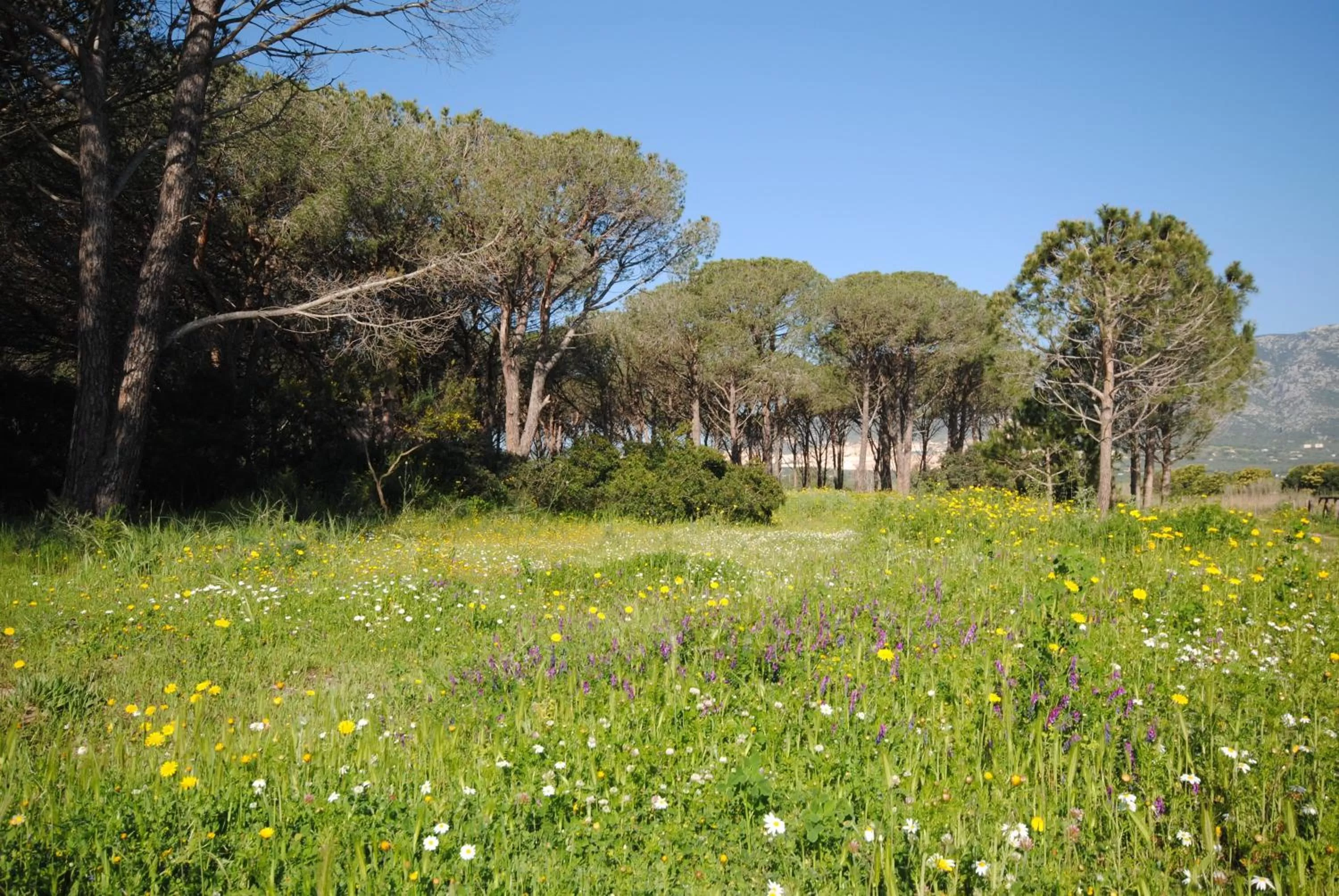 Area and facilities in Holiday Residence Rifugio
