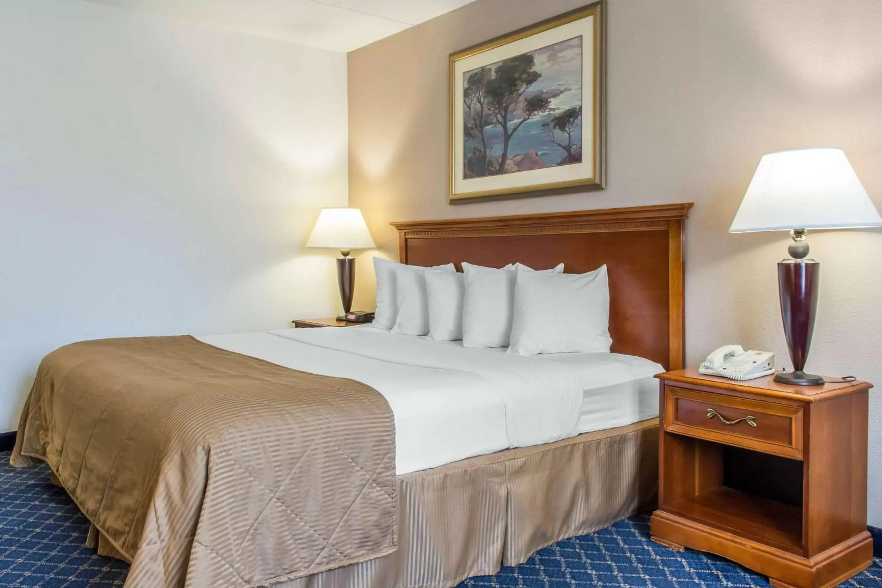 Deluxe King Room - Non-Smoking in Clarion Hotel & Conference Center Deluxe King Room - Non-Smoking in Clarion Hotel & Conference Center