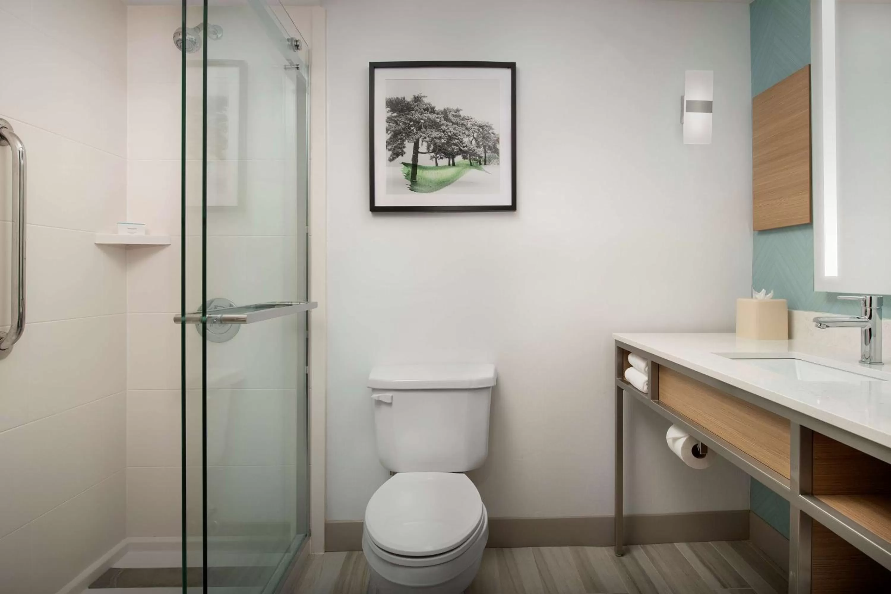 Bathroom in Hilton Garden Inn Dallas/Duncanville