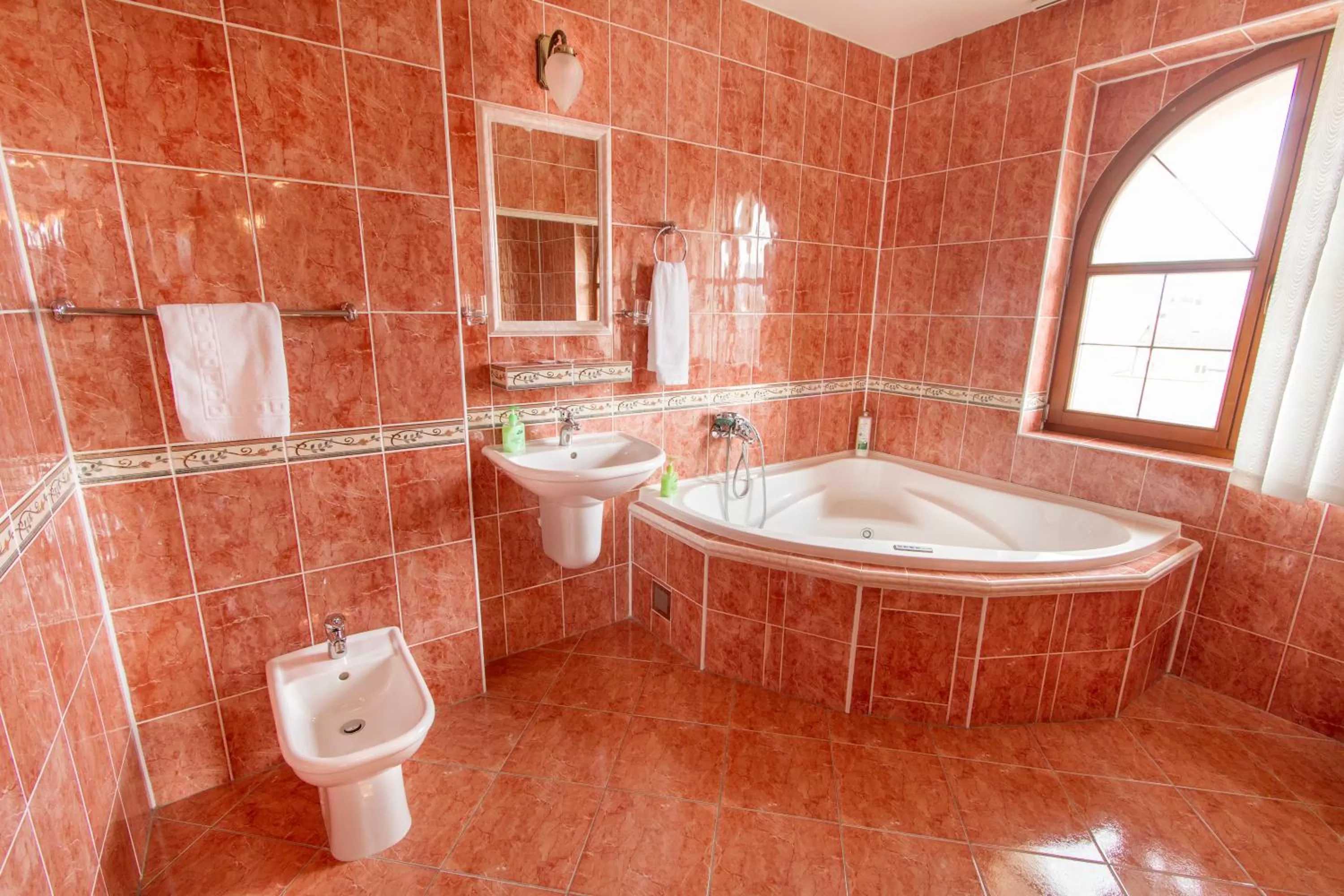 Bathroom in Hotel Grand