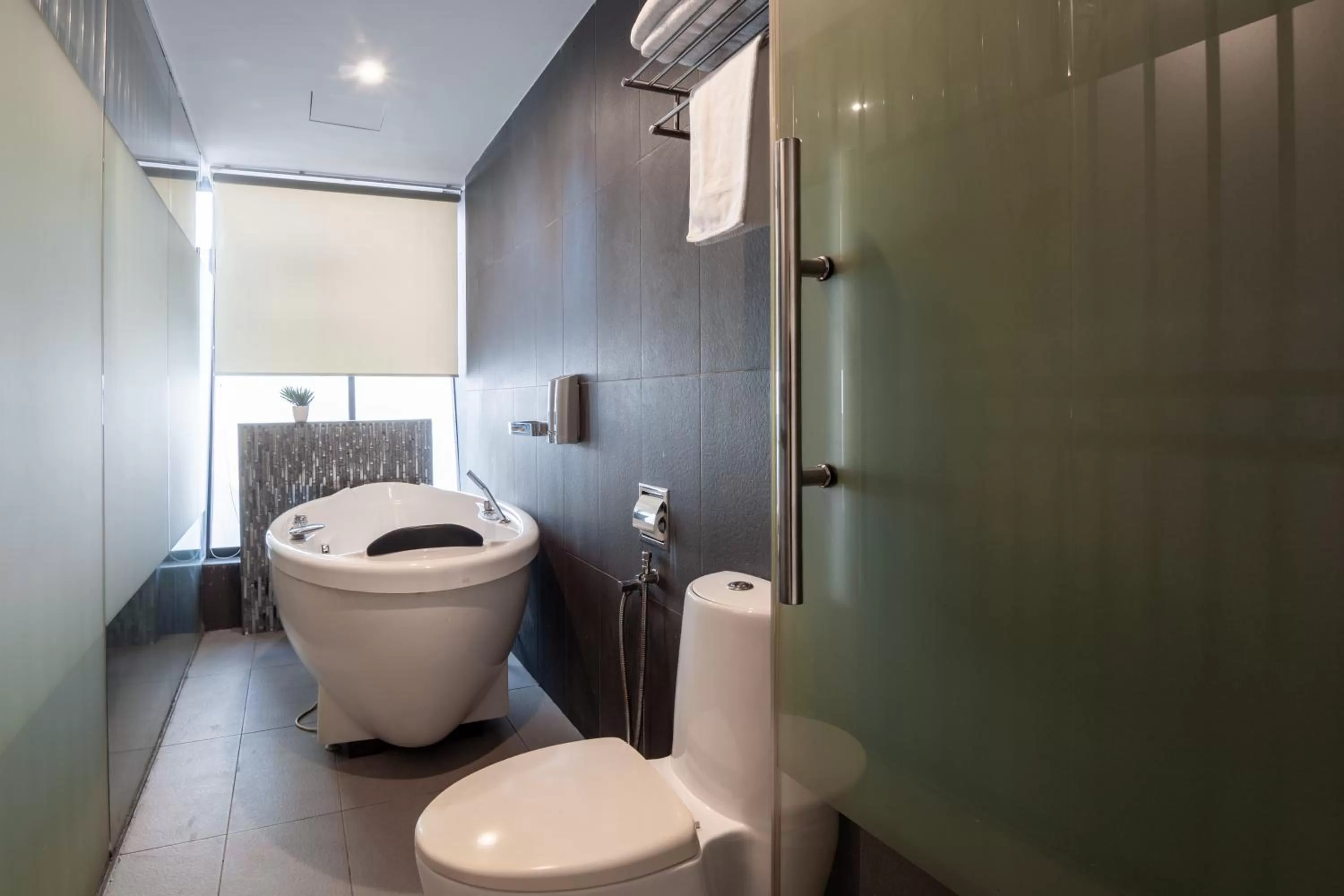 Shower in Apple Hotel Times Square