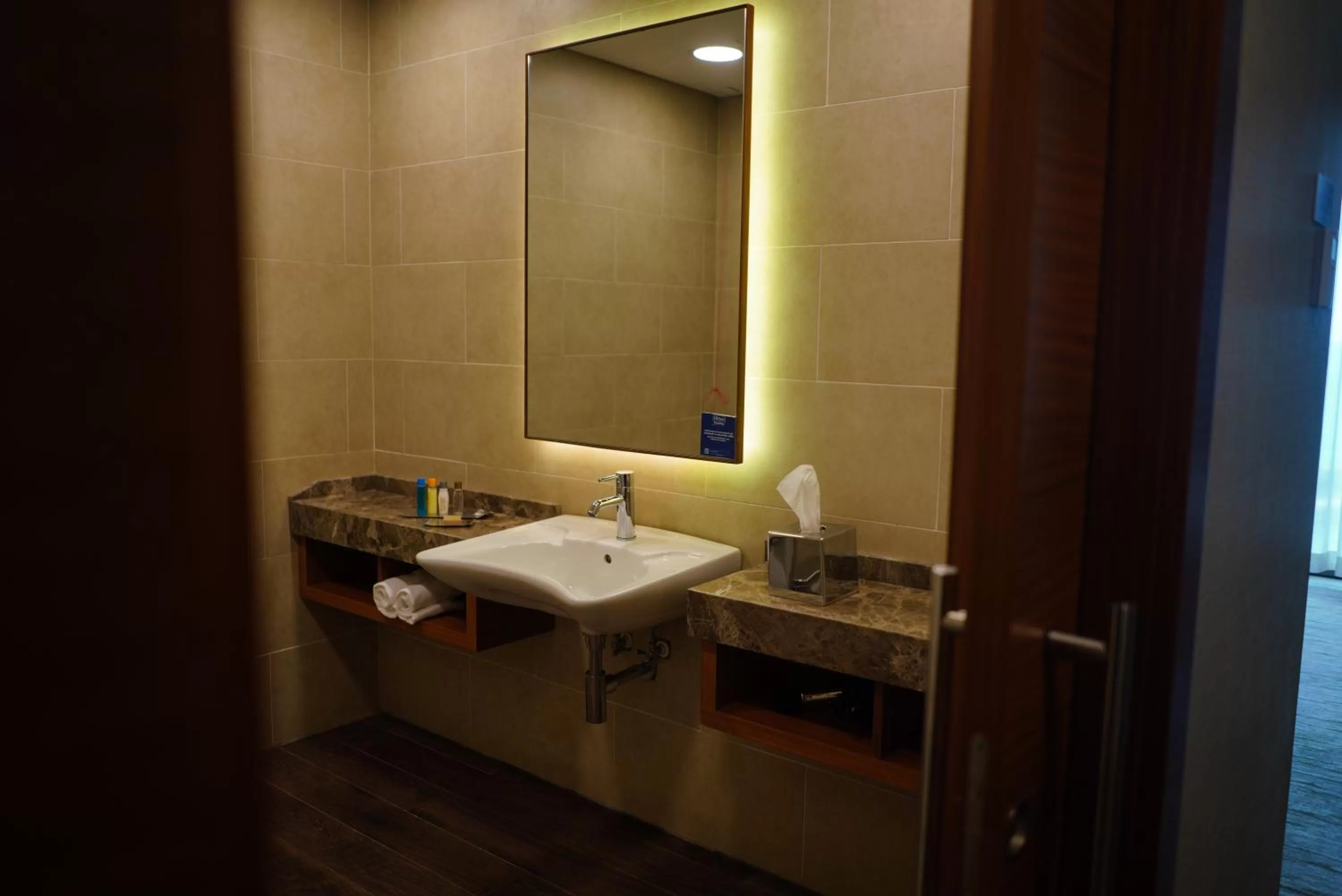 Bathroom in DoubleTree by Hilton Trabzon