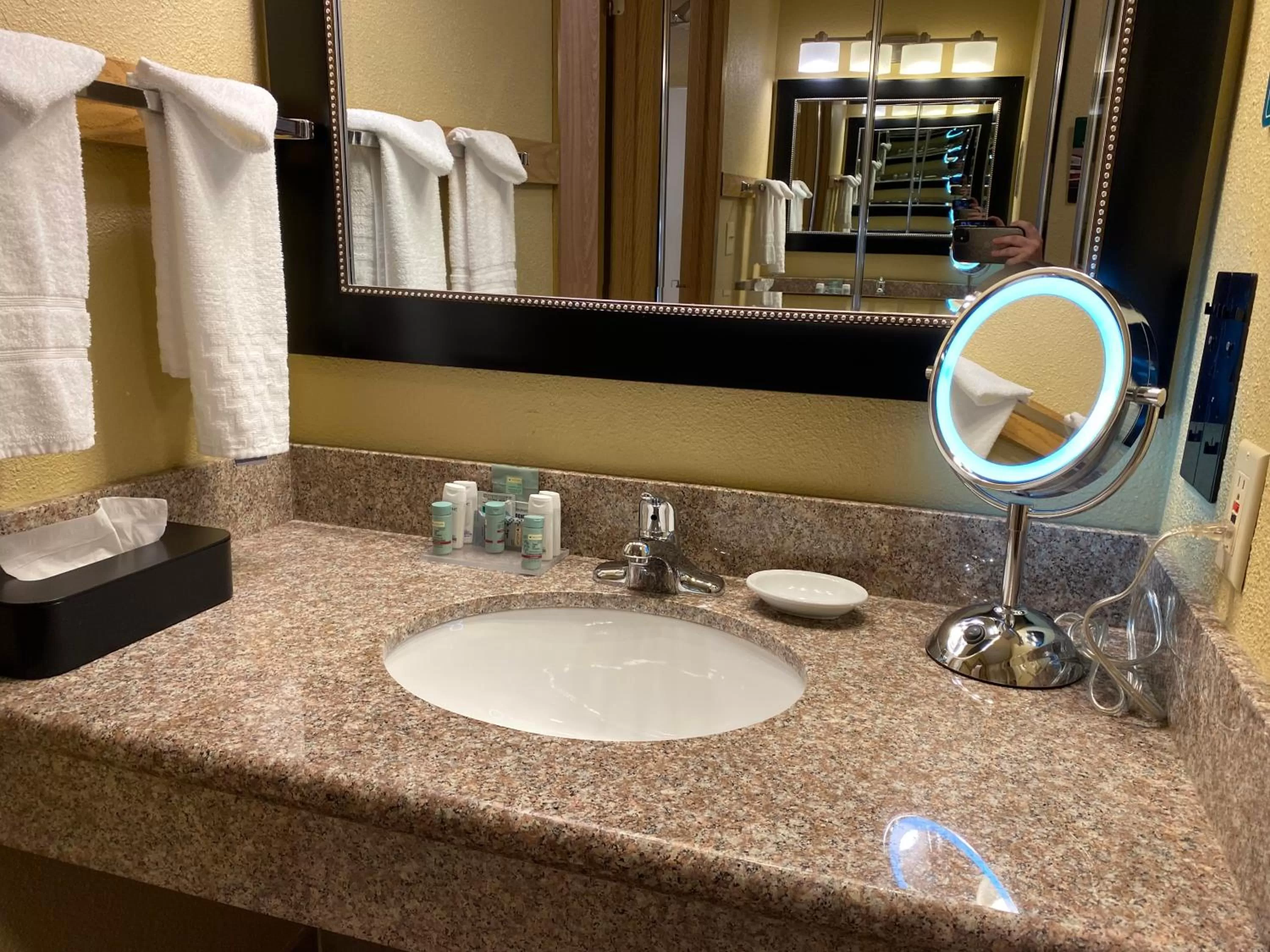 Bathroom in Wingate by Wyndham Mount Vernon