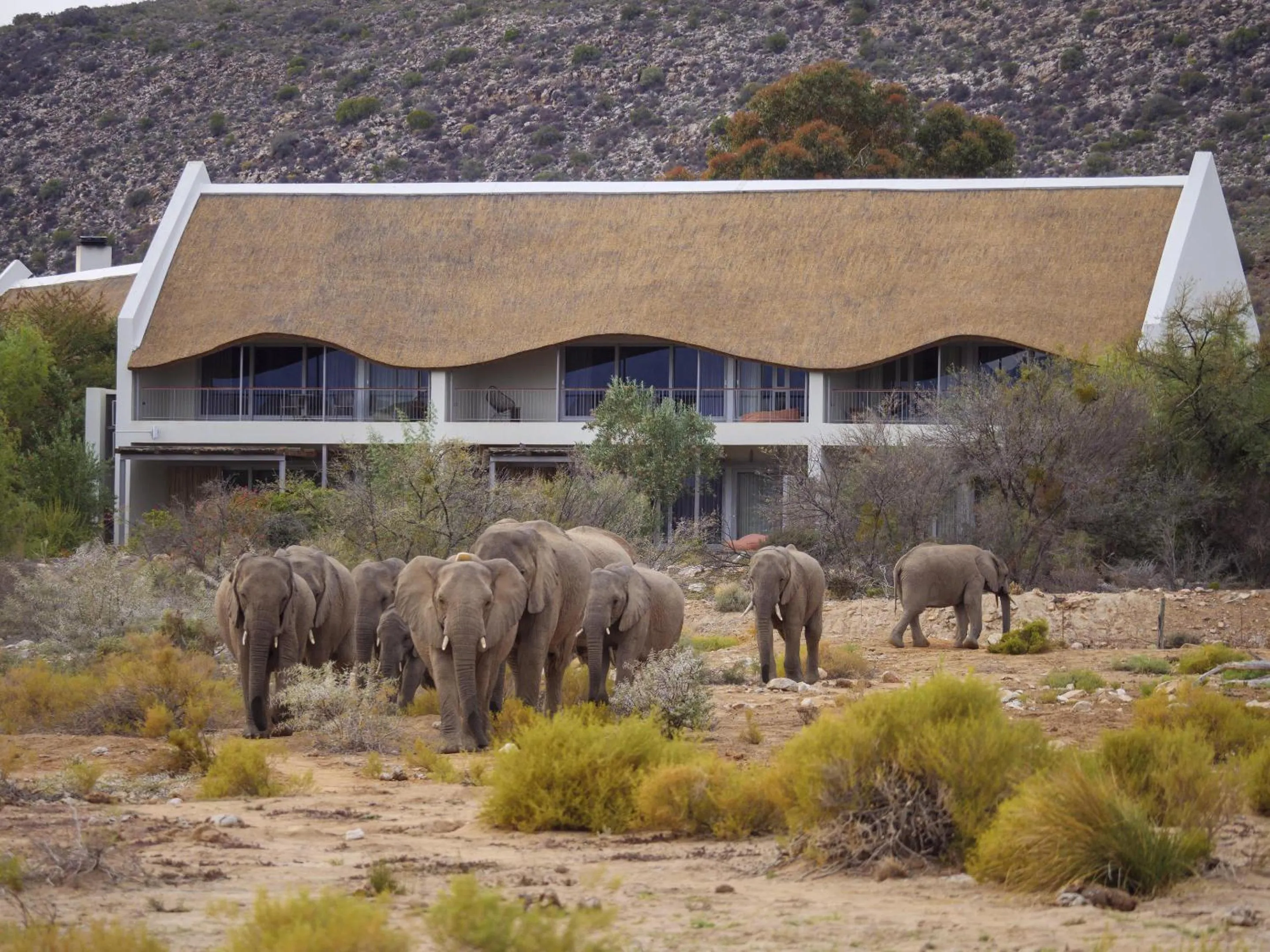 View (from property/room) in Sanbona Wildlife Reserve