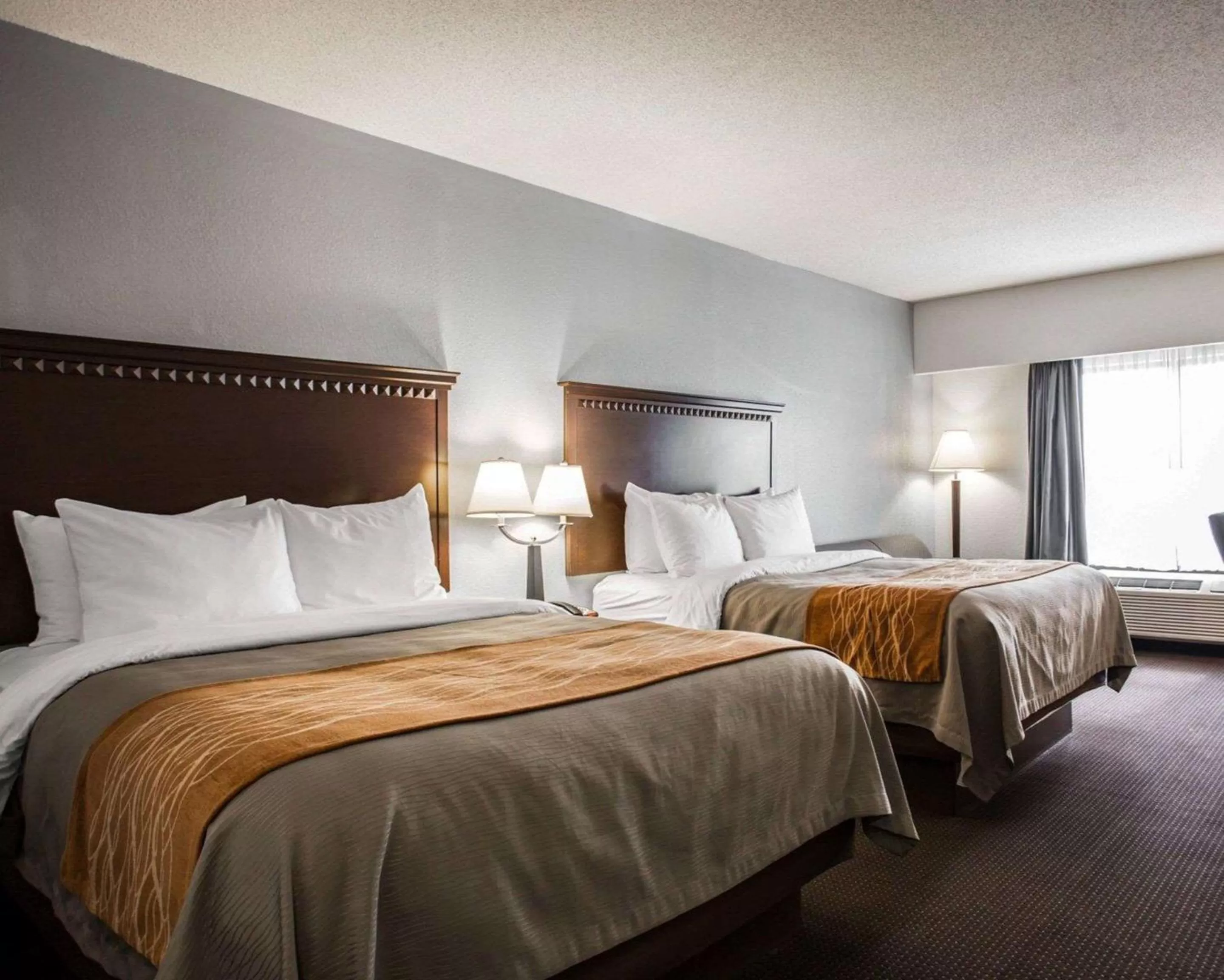 Bedroom, Bed in Comfort Inn & Suites Lumberton Central I-95