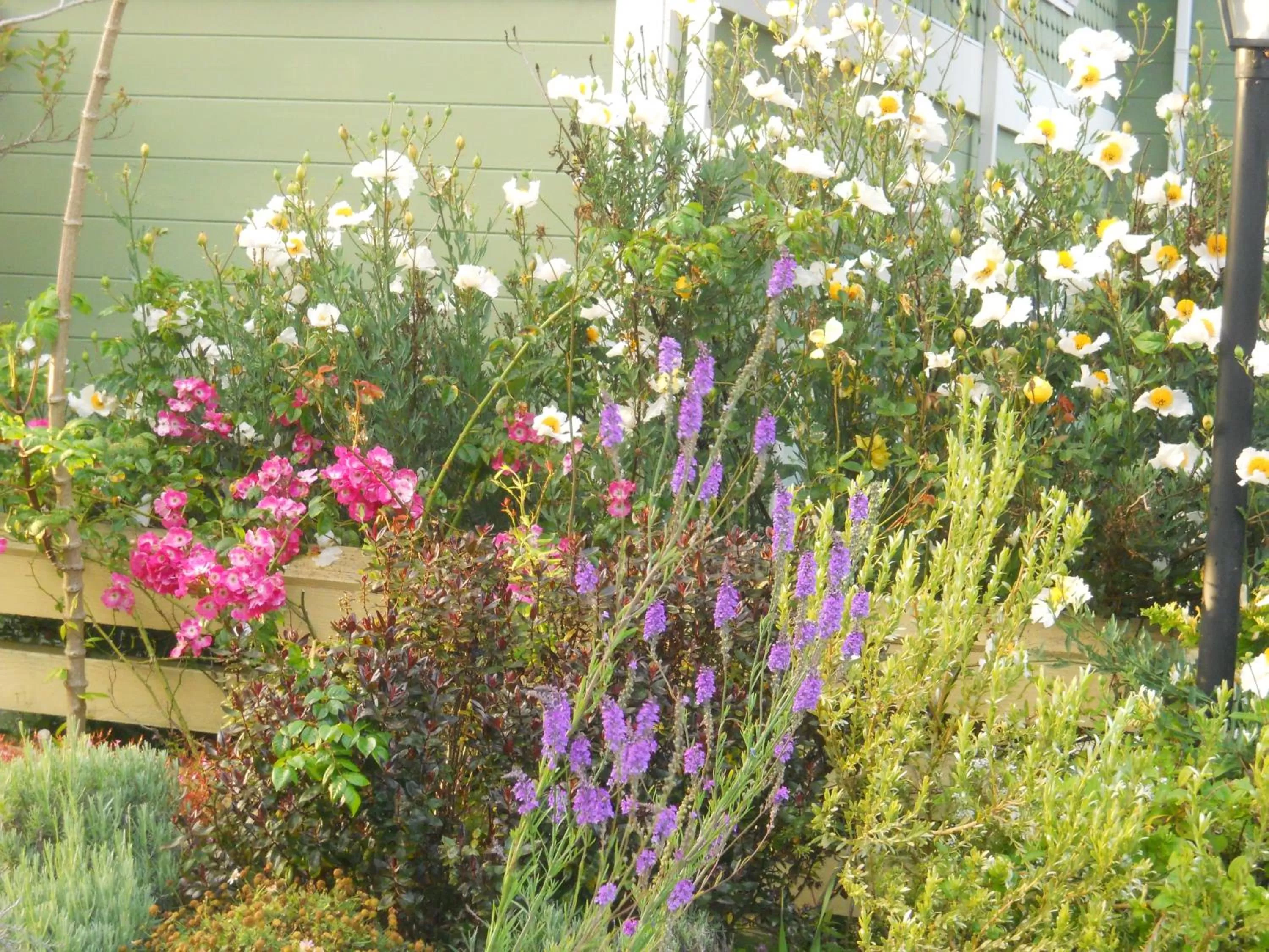 Facade/entrance, Garden in Hill House Inn