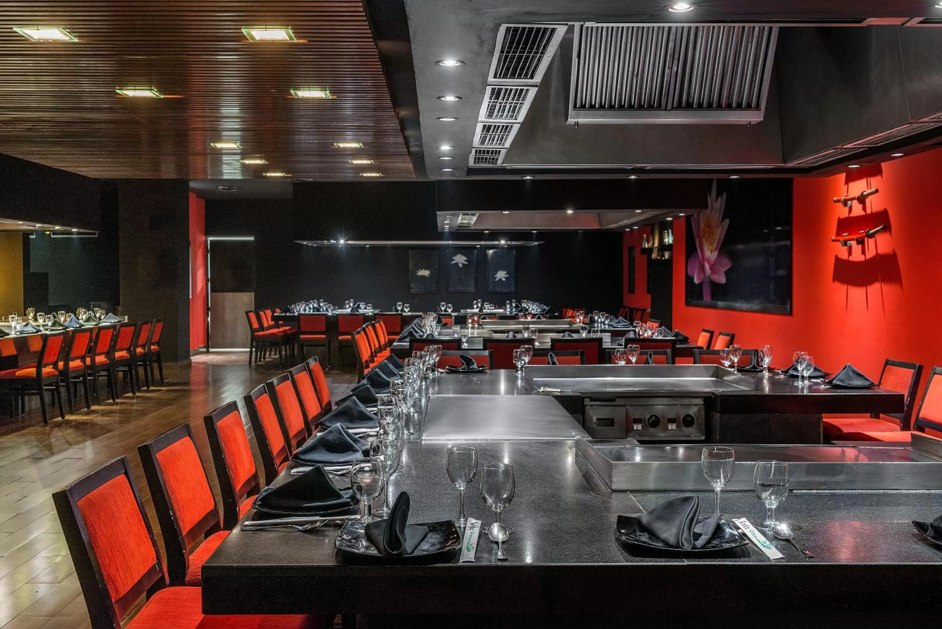 Restaurant/places to eat in El Beso Adults Only at Ocean Coral & Turquesa All Inclusive