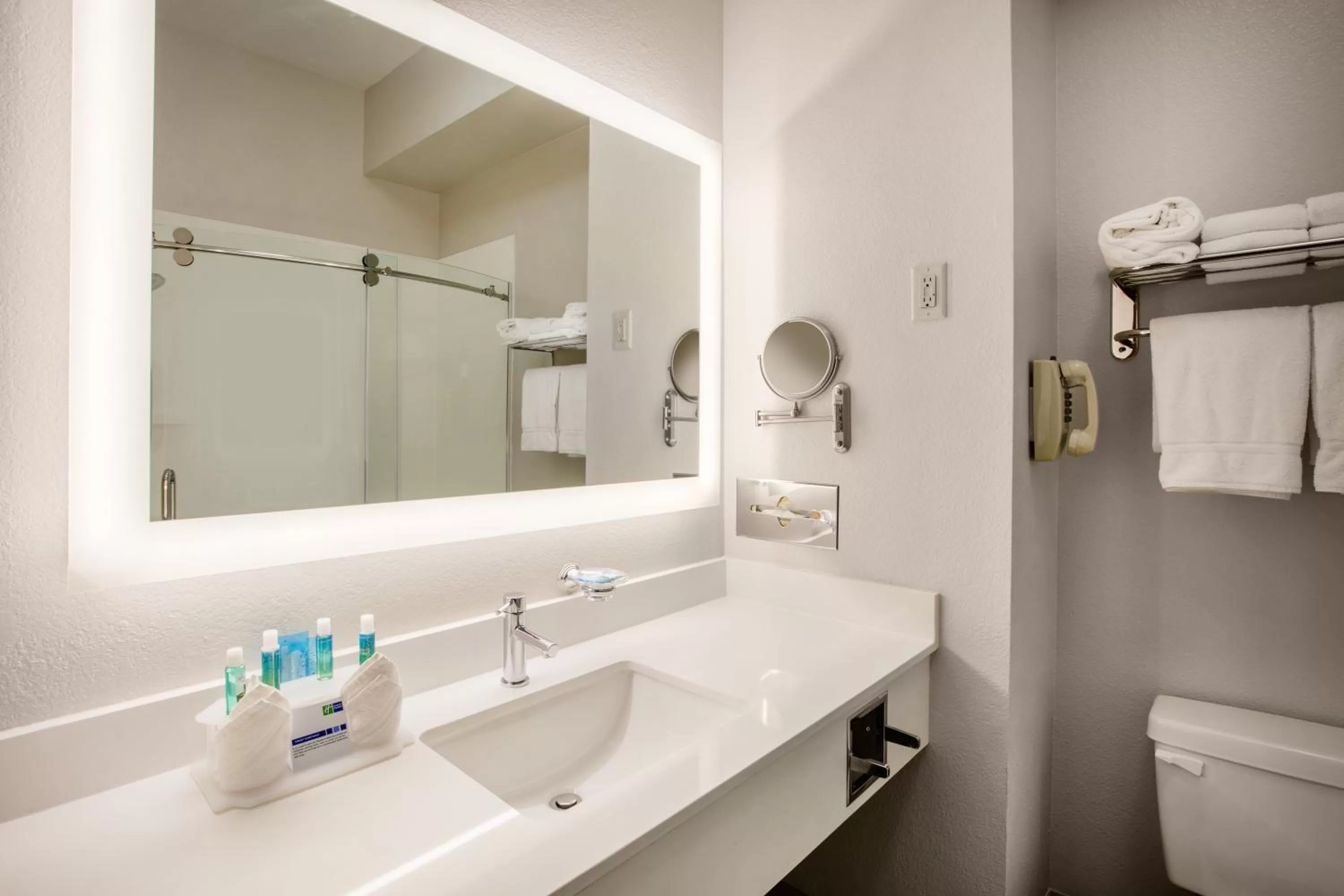 Bathroom in Holiday Inn Express Hotel & Suites Dallas - Grand Prairie I-20 by IHG
