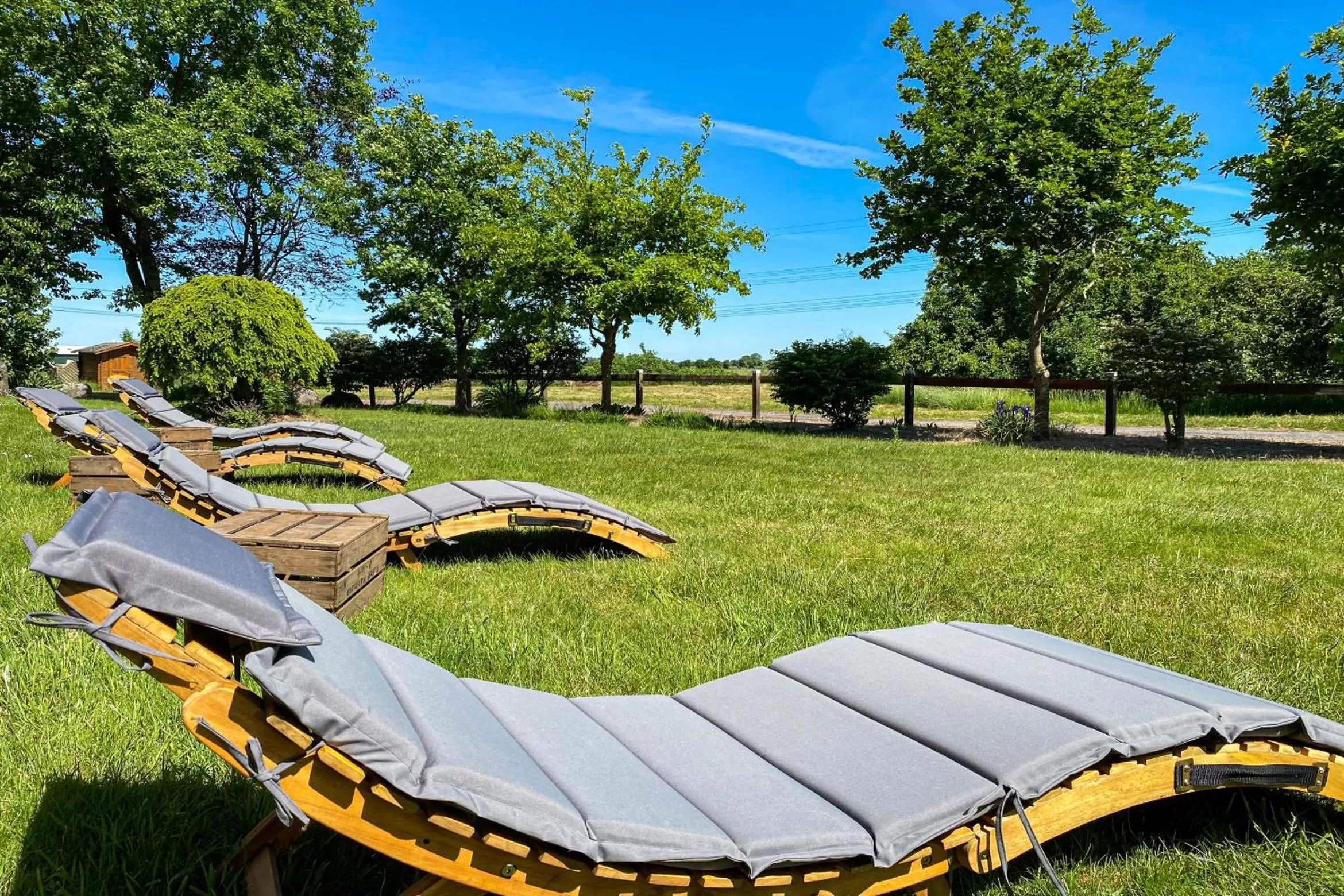 Natural landscape, Garden in Hotel-Restaurant Vier Linden