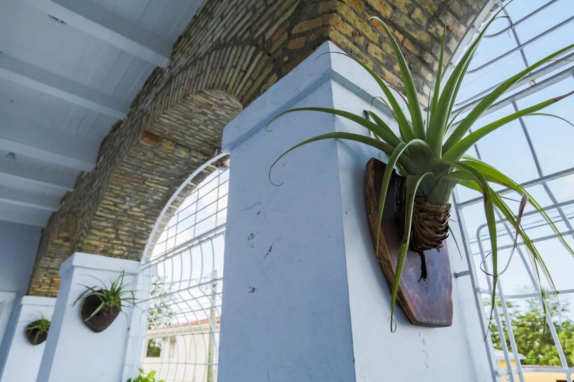Balcony/Terrace in Sugar Apple Bed and Breakfast