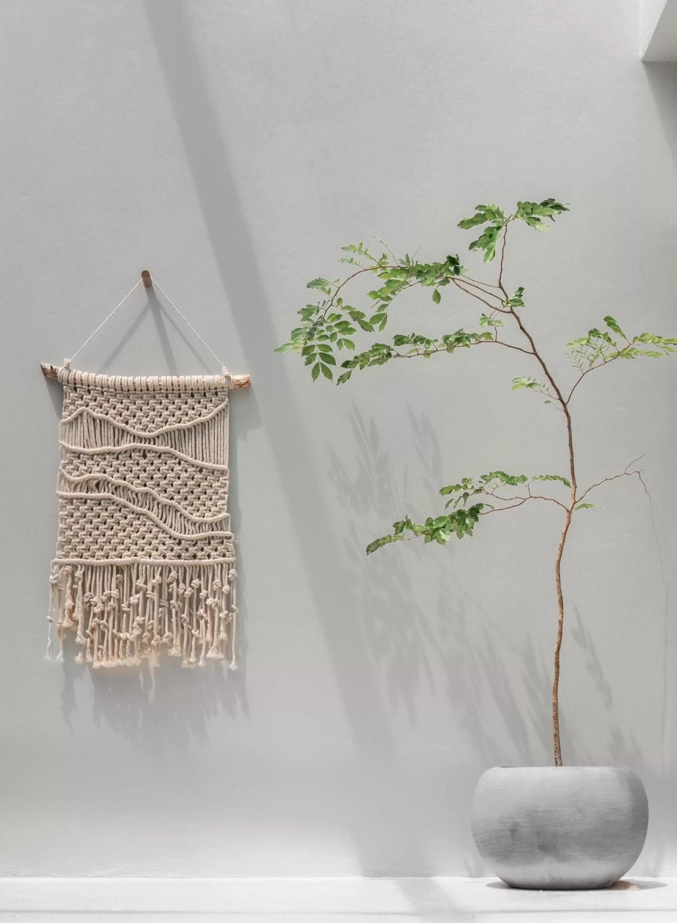 Decorative detail in The Earth Hotel