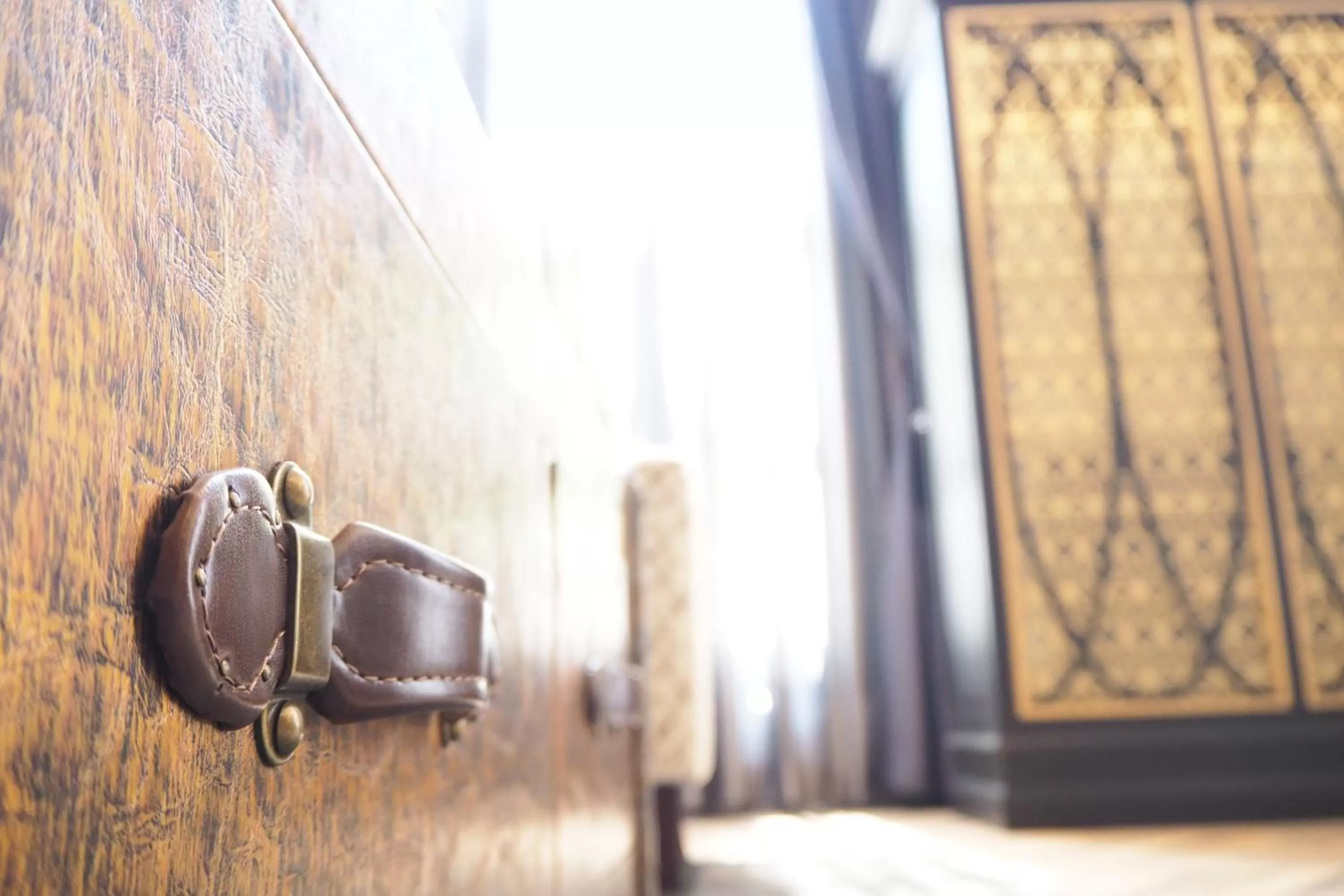 Decorative detail in SN Connx - SHA Plus