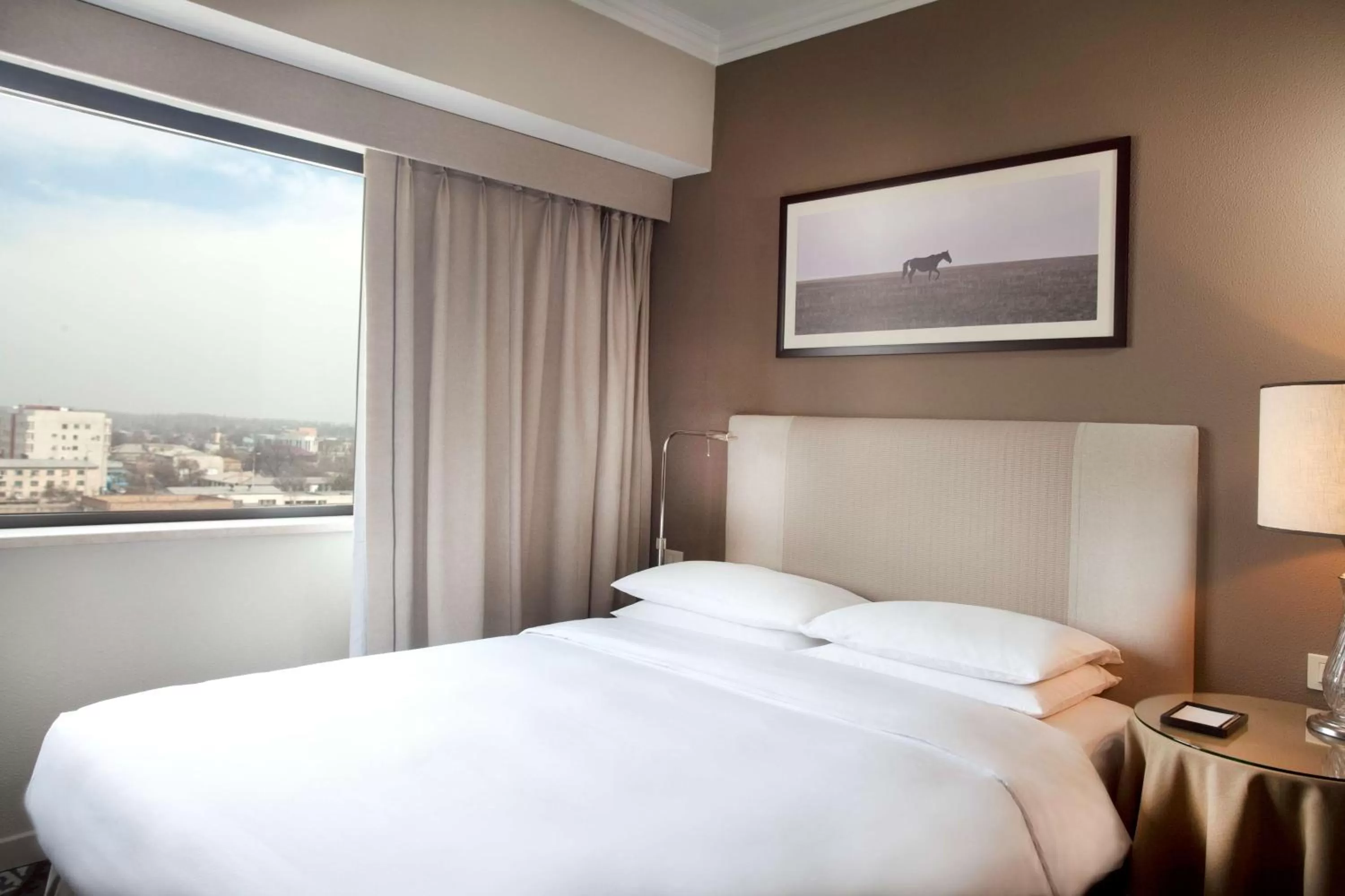 Photo of the whole room, Bed in Hyatt Regency Bishkek