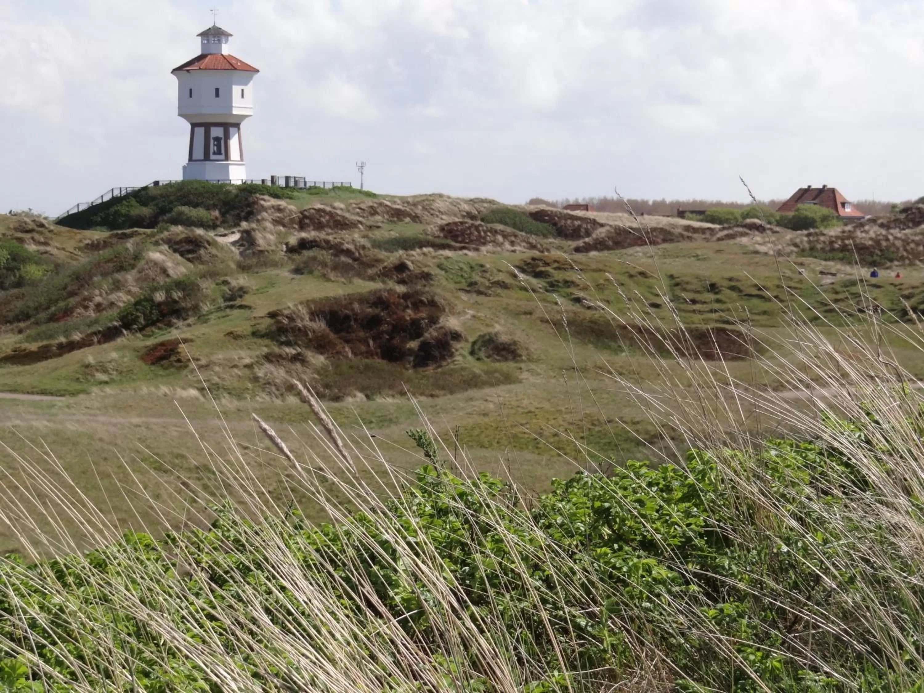 Area and facilities in Hotel Bethanien