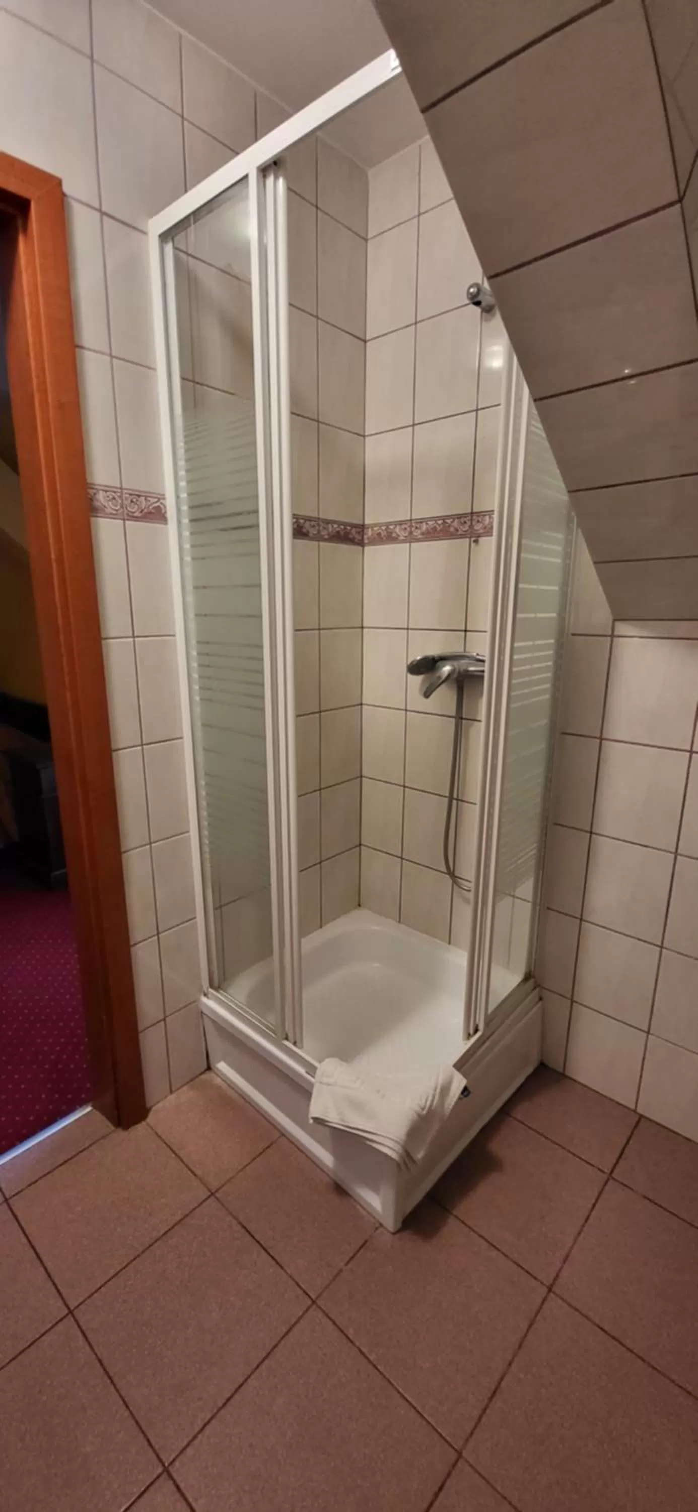 Shower in Dom Schumannów