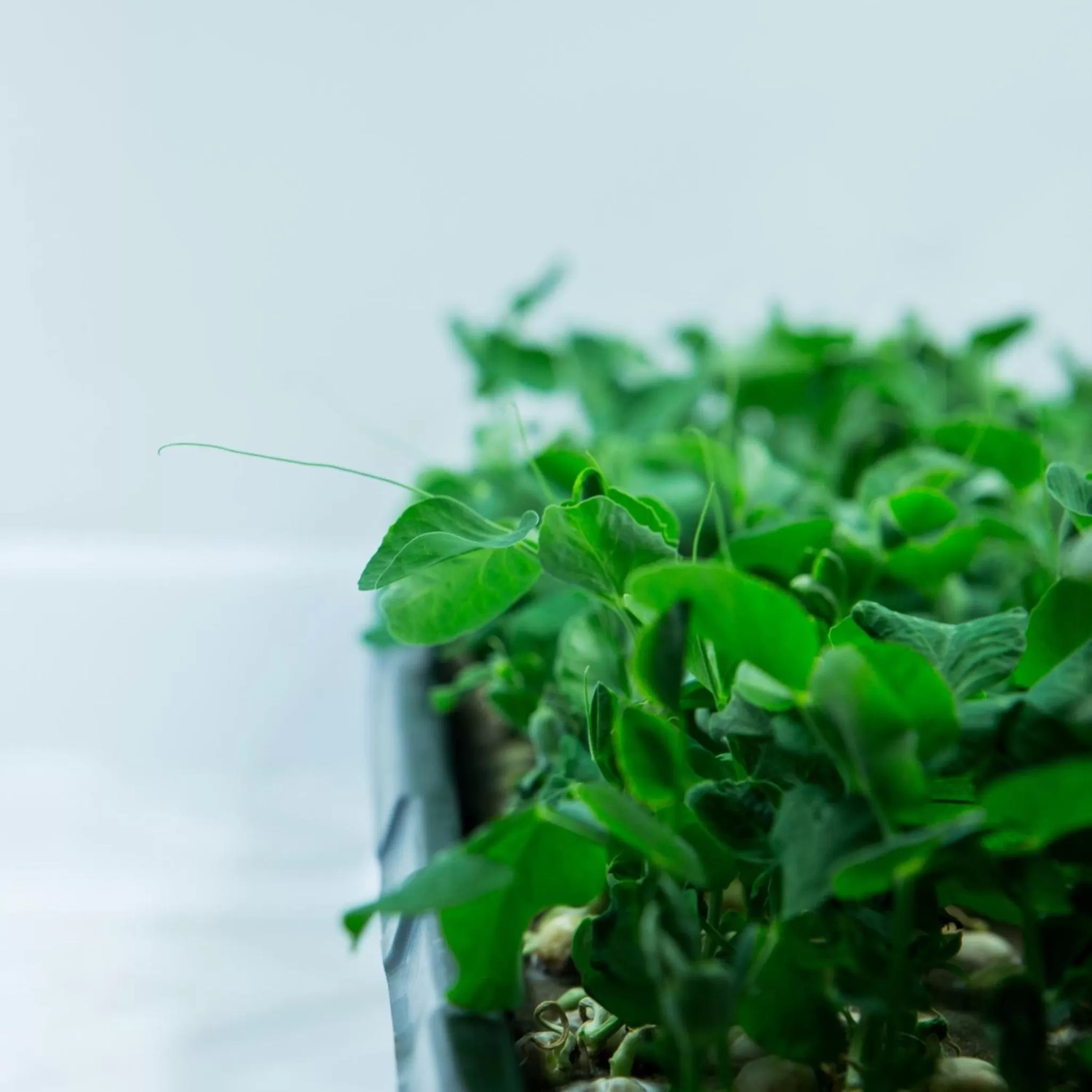 Other in The Grand Winnipeg Airport Hotel by Lakeview