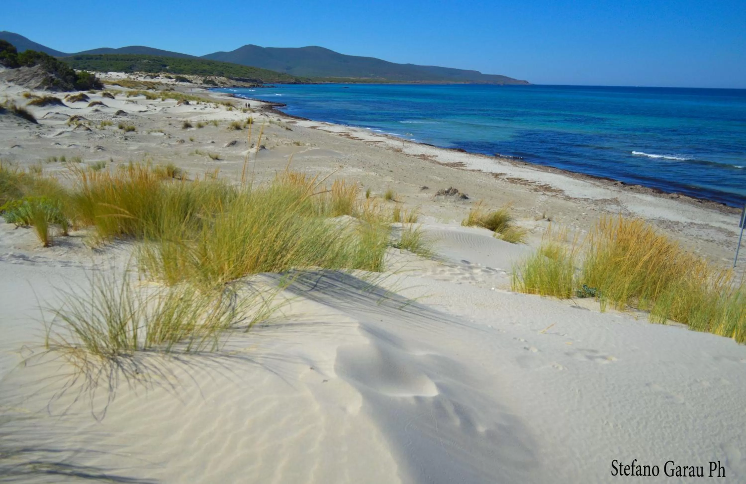 Area and facilities in Hotel Jasmine