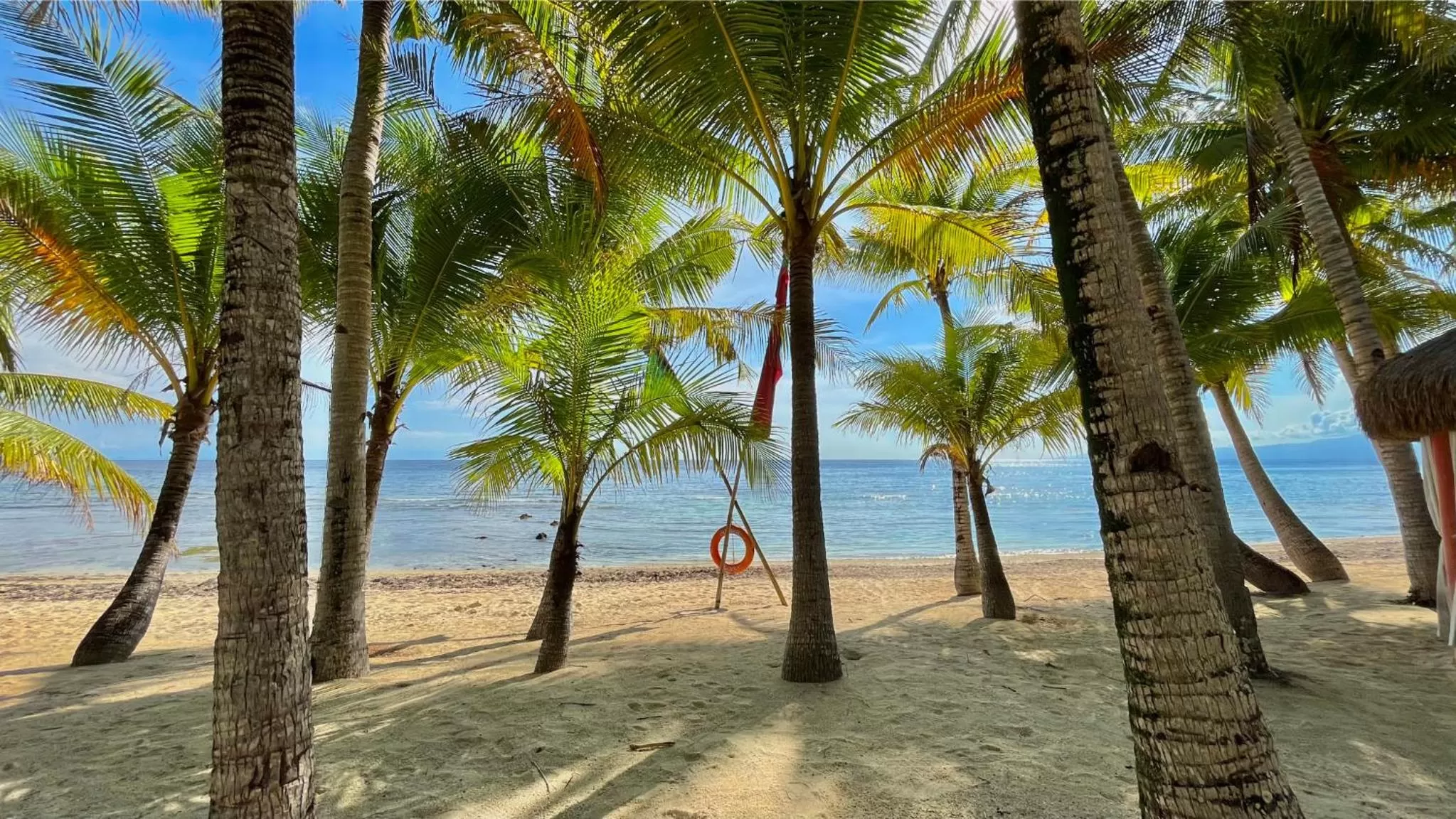 Beach in Coco Grove Beach Resort, Siquijor Island