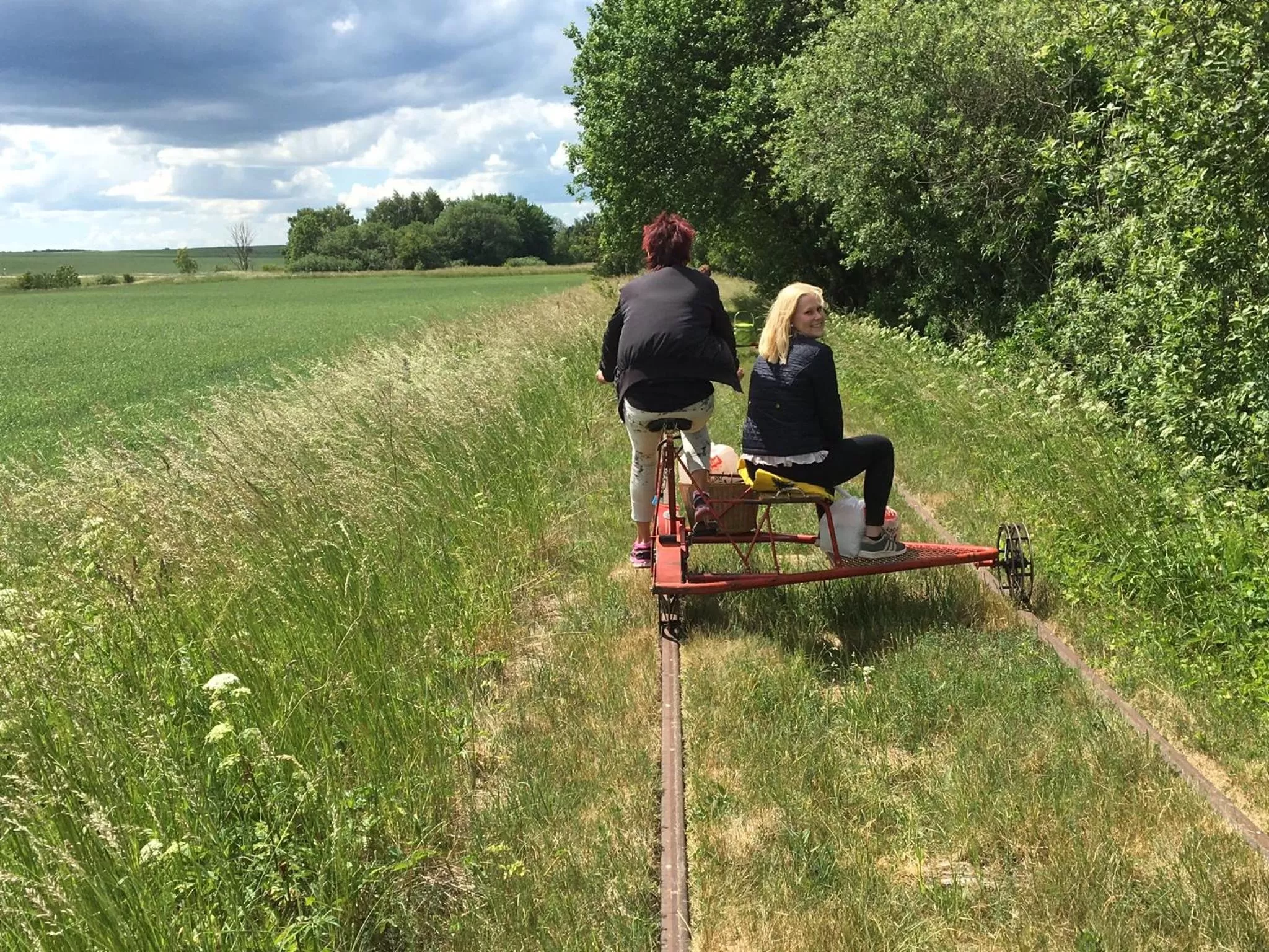 Natural landscape in Tryde 1303 B&B på Österlen