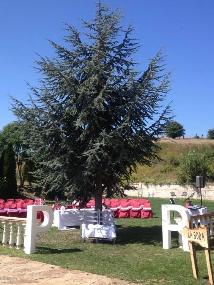 Banquet/Function facilities in Hotel Vejo