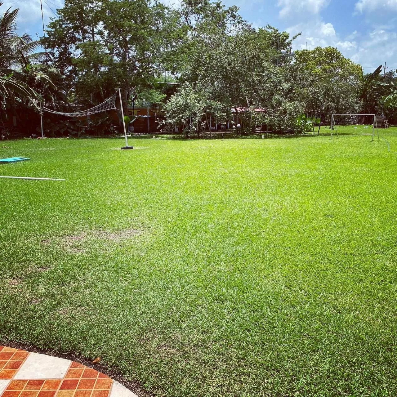 Garden in Hotel Bello Caribe Express