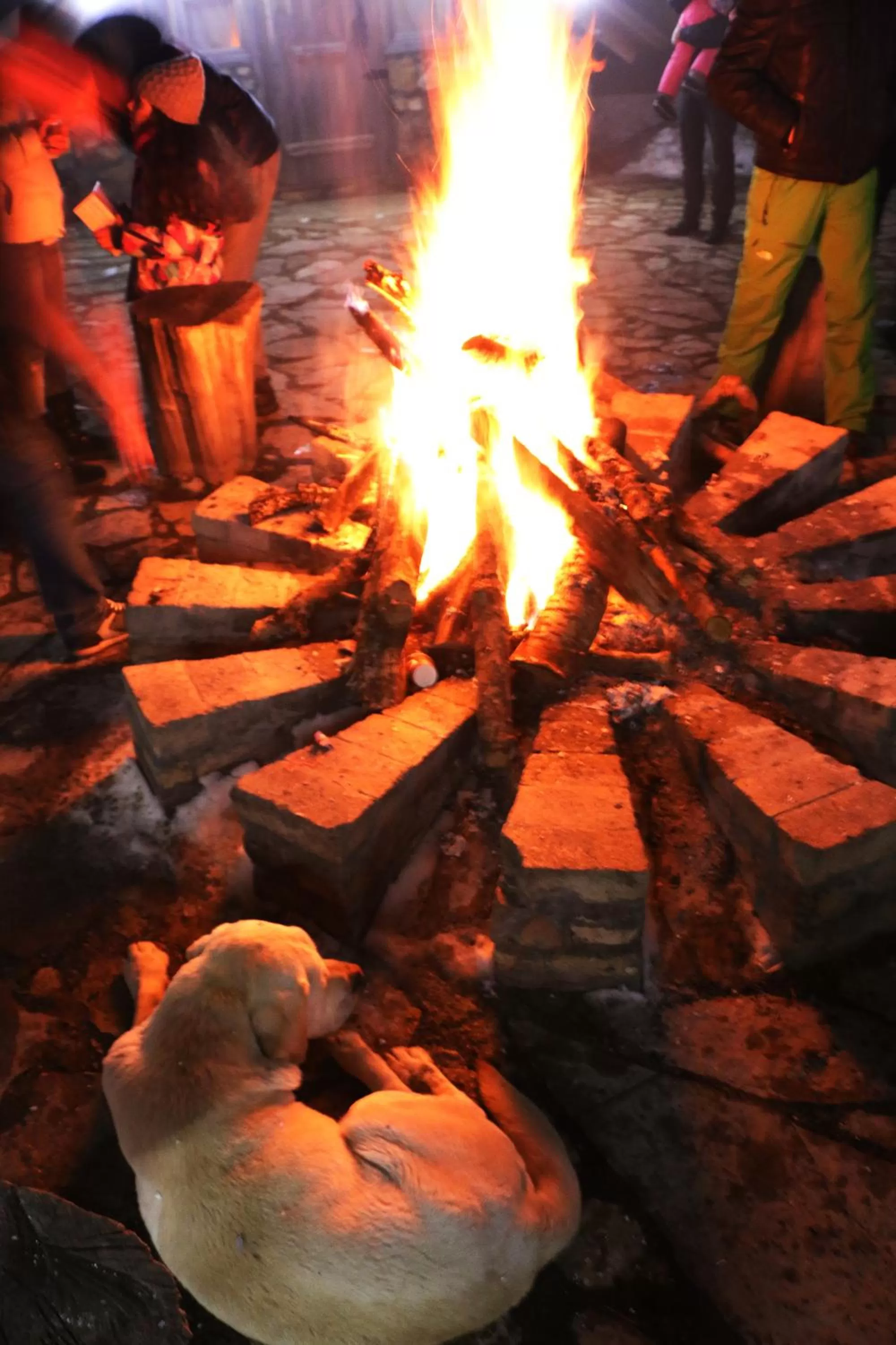 Entertainment, BBQ Facilities in Apaga Resort