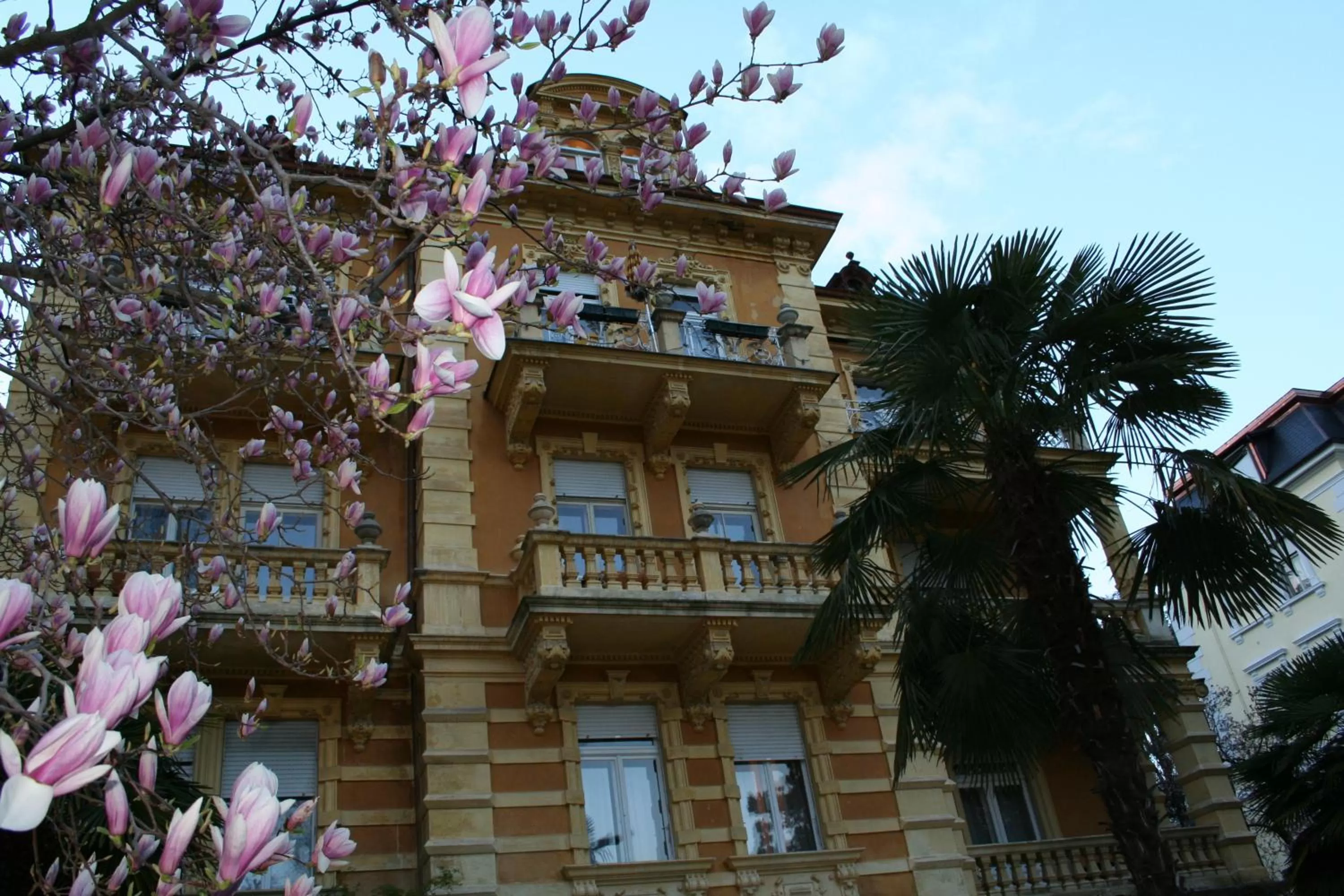 Facade/entrance in Hotel Villa Westend