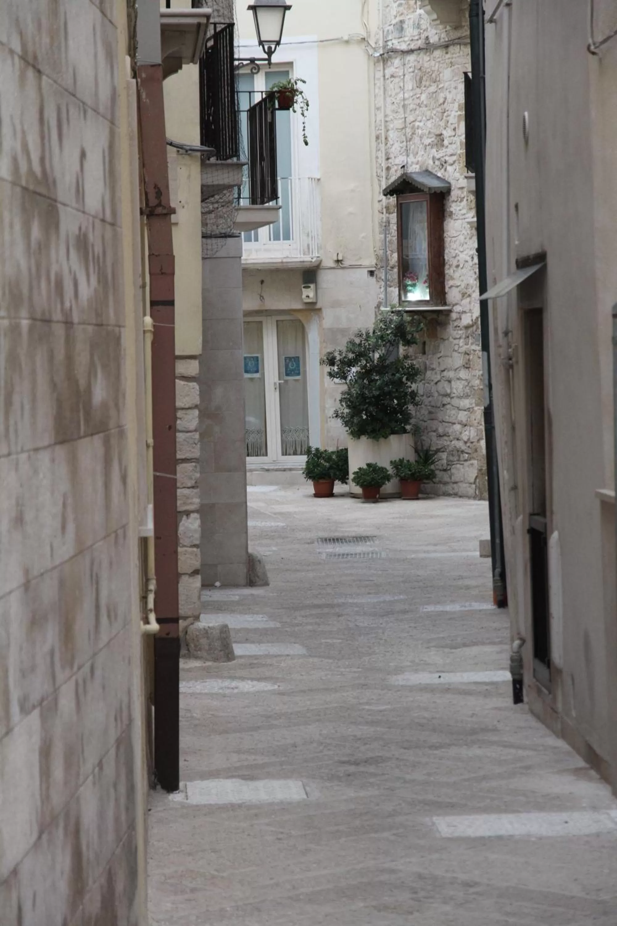 Street view in Mirabari