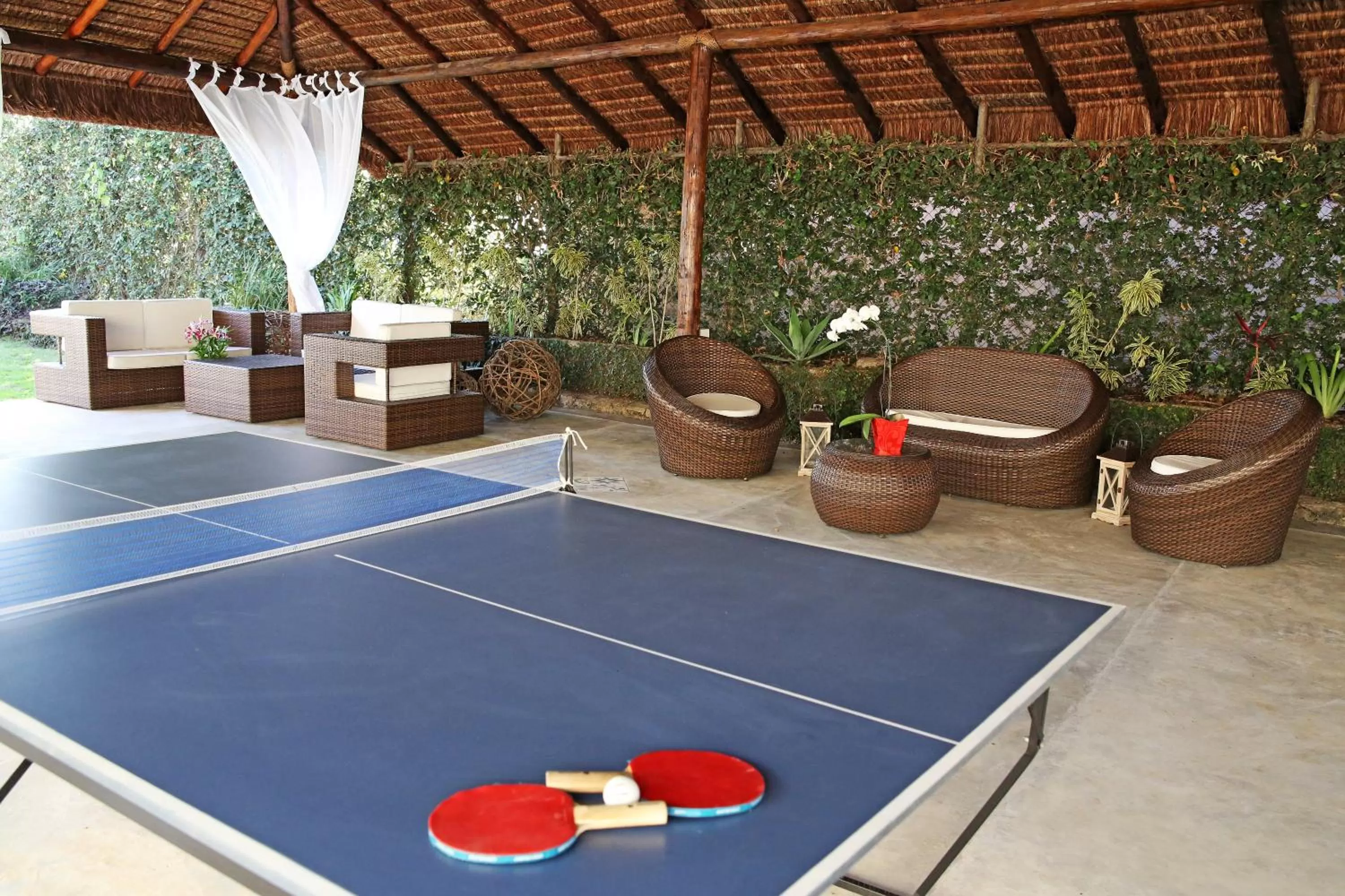 Solarium, Table Tennis in Sant' Martre