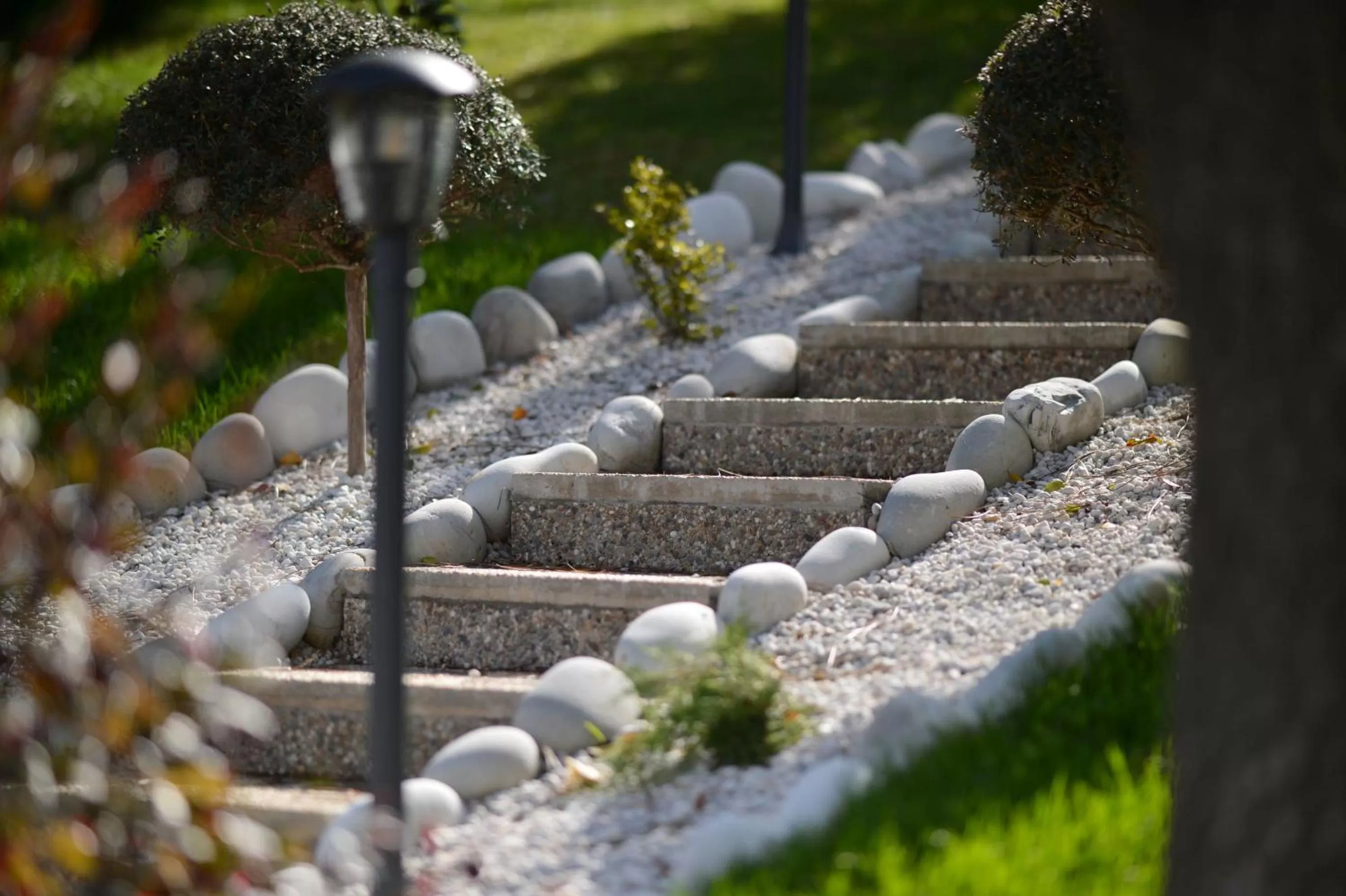 Natural landscape in Casa das Carpas