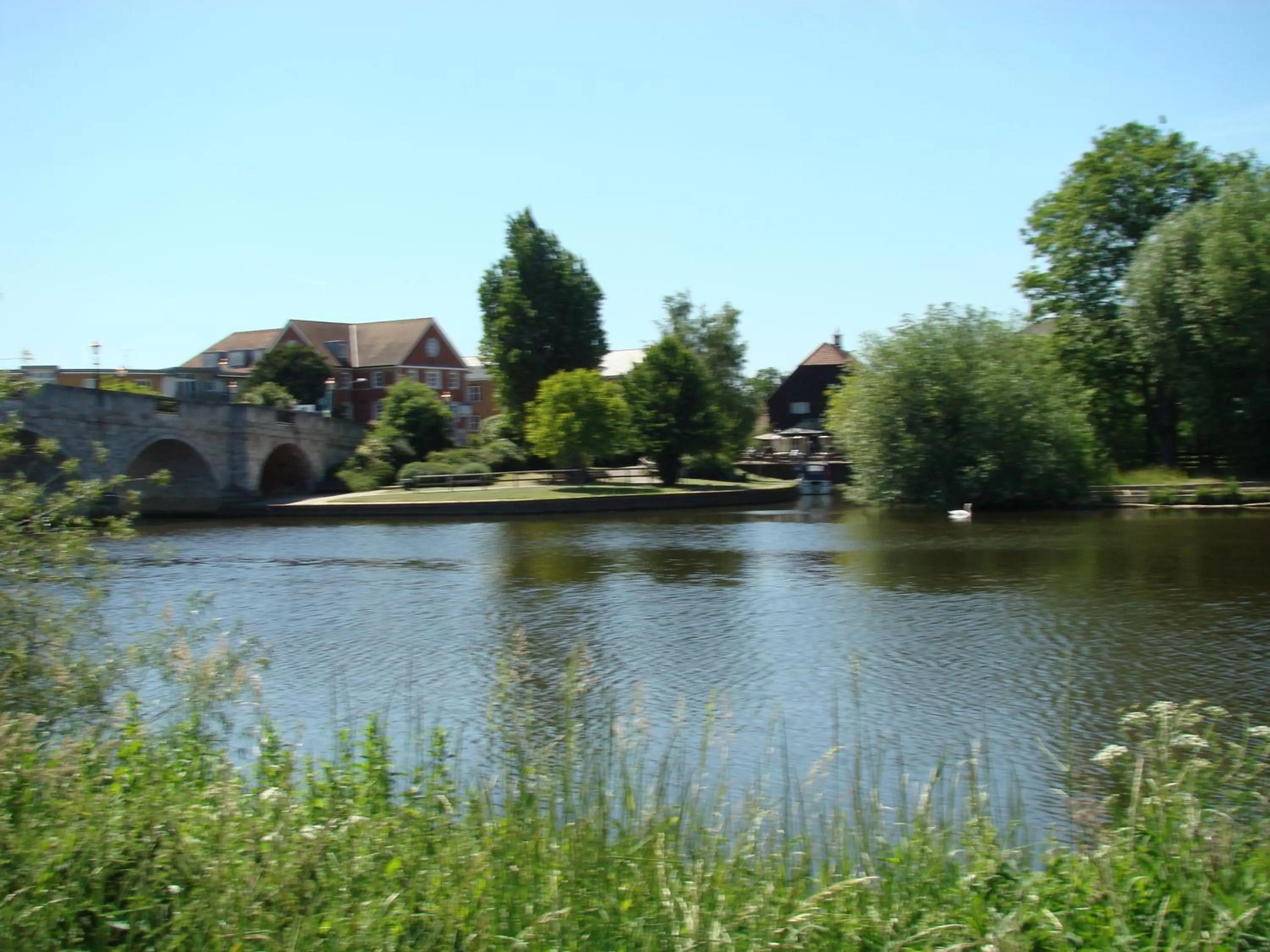 Natural landscape in The Bridge Hotel