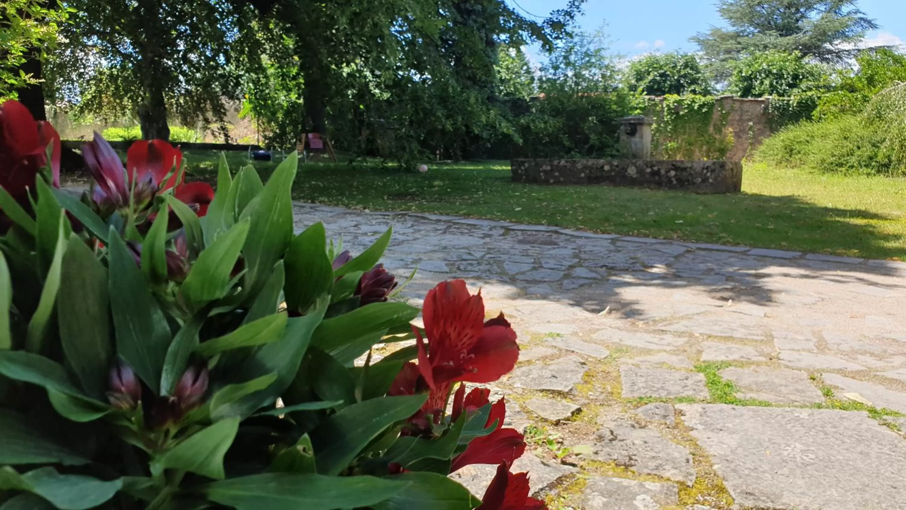 De passage chez Lili