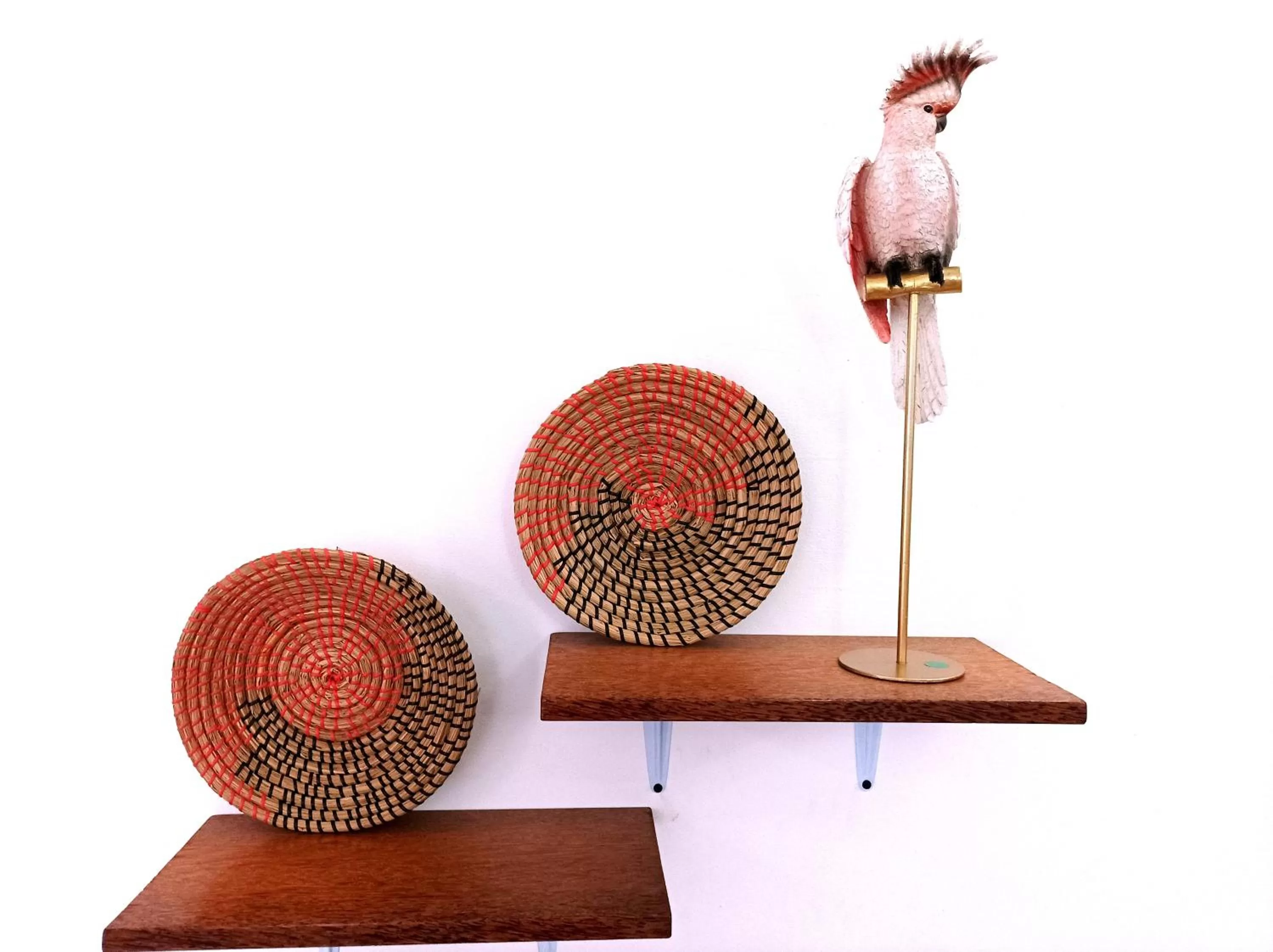 hair dresser in Zanzicrown