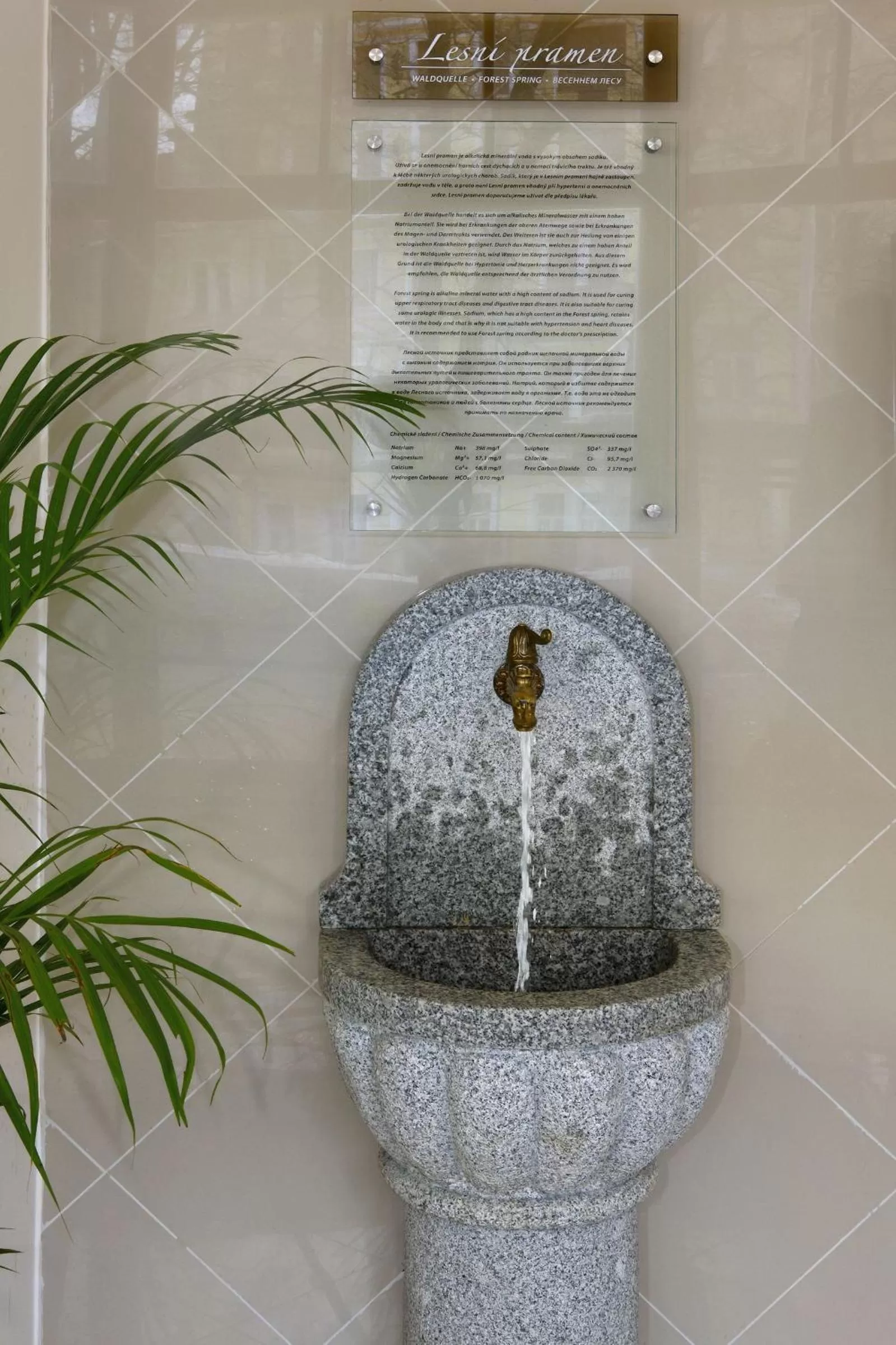 Other in Ensana Svoboda