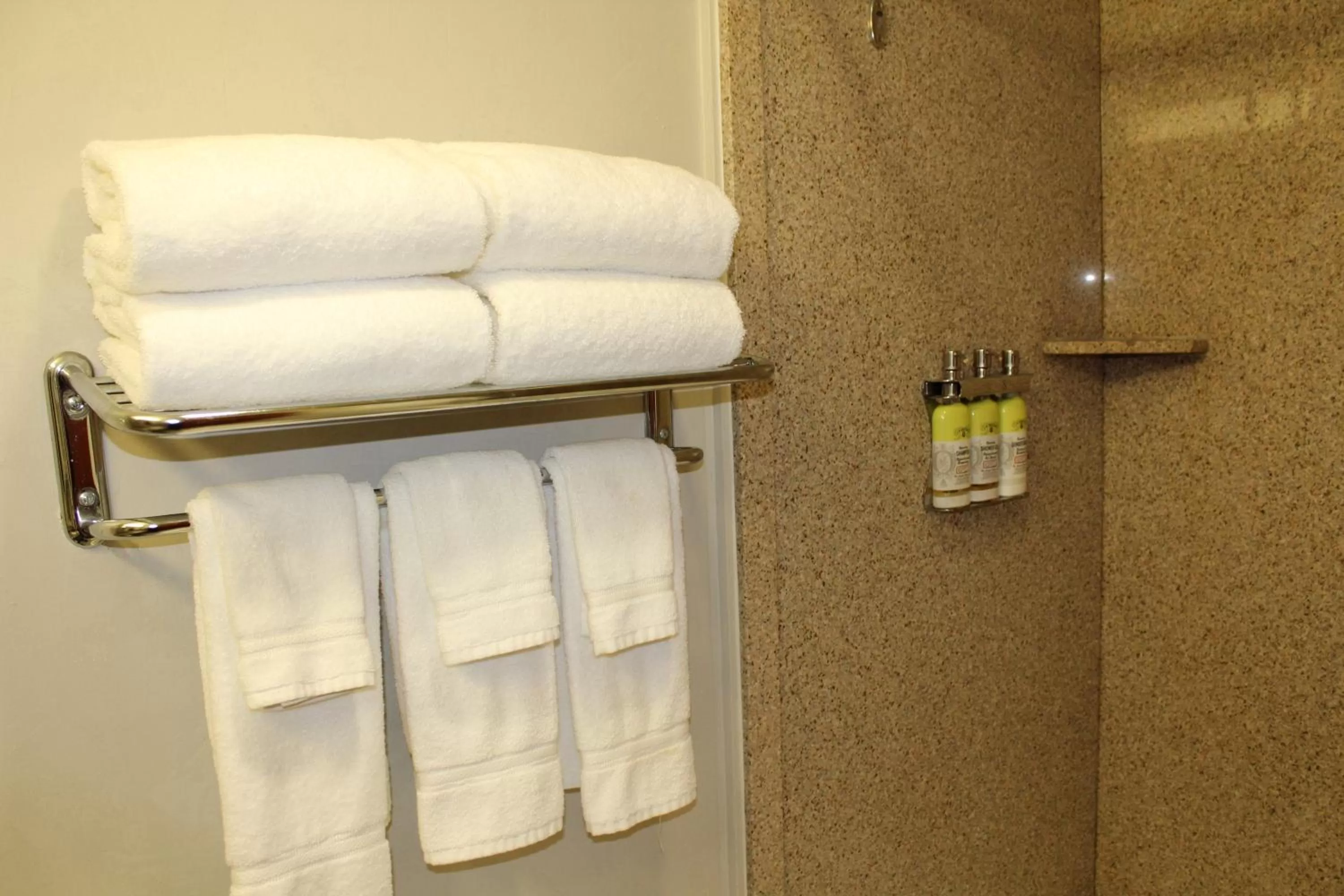 Bathroom in Holiday Inn Express Hotel & Suites Tucson Mall by IHG