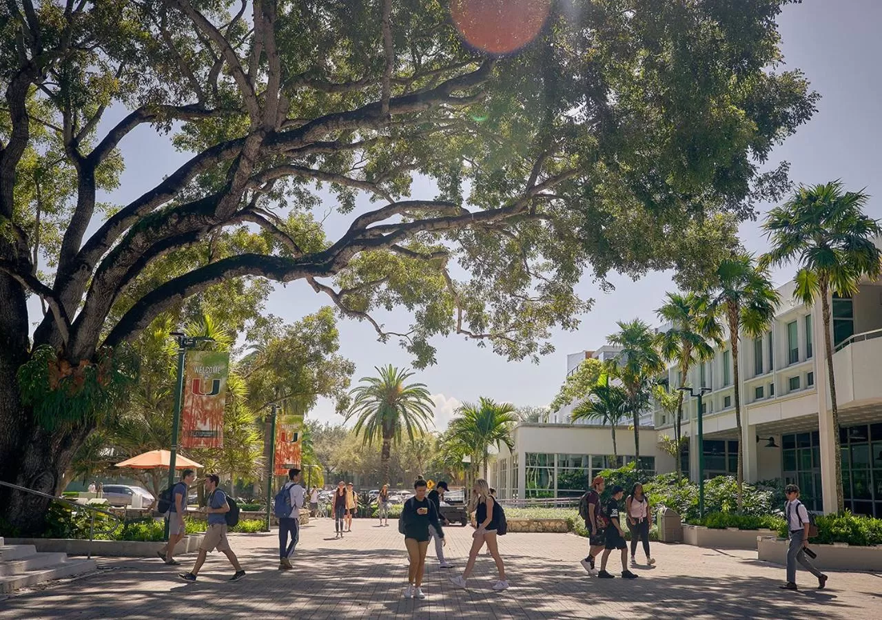 Neighbourhood in THesis Hotel Miami Coral Gables, Curio Collection by Hilton