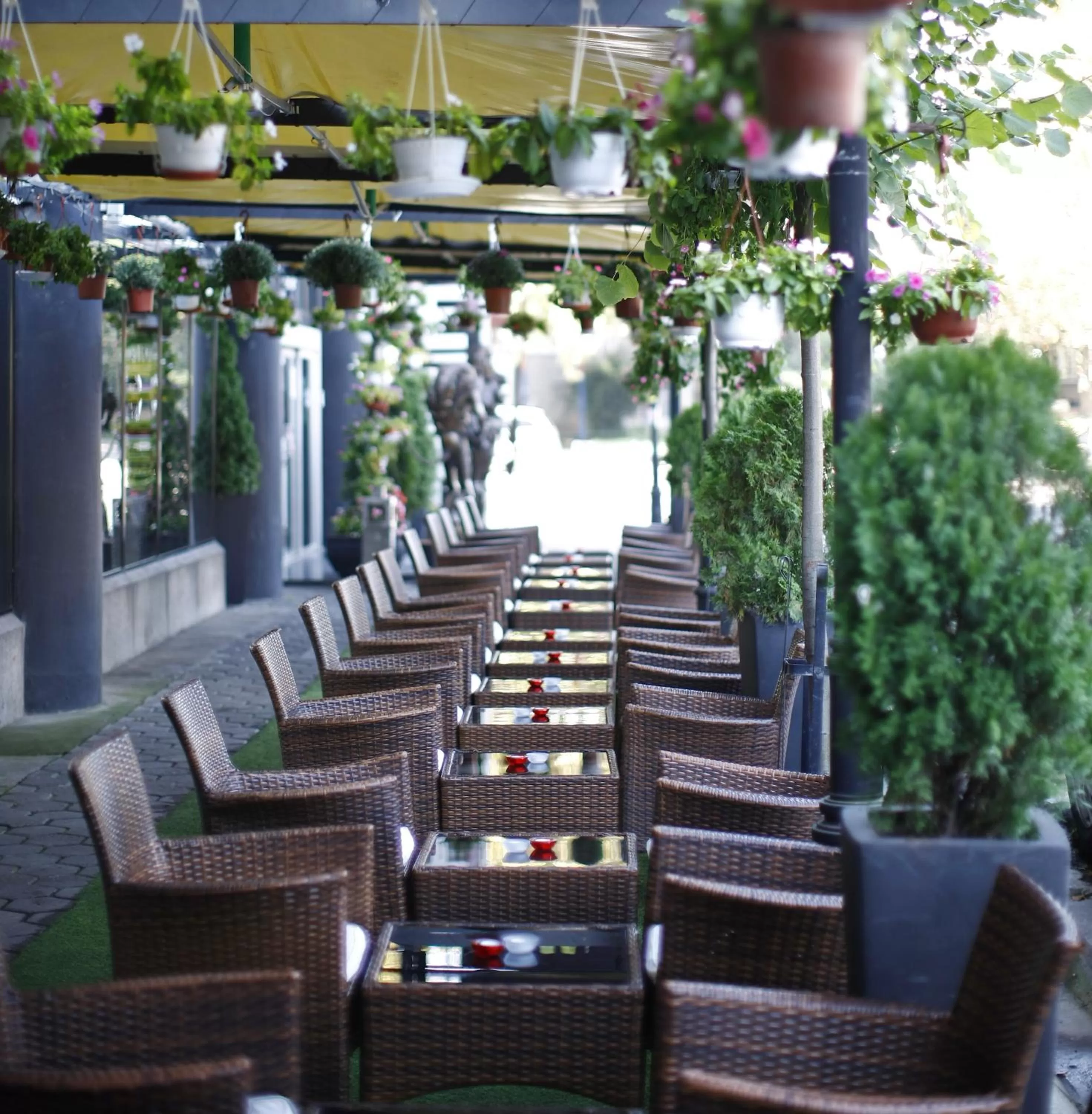 Garden in Design Hotel Mr President