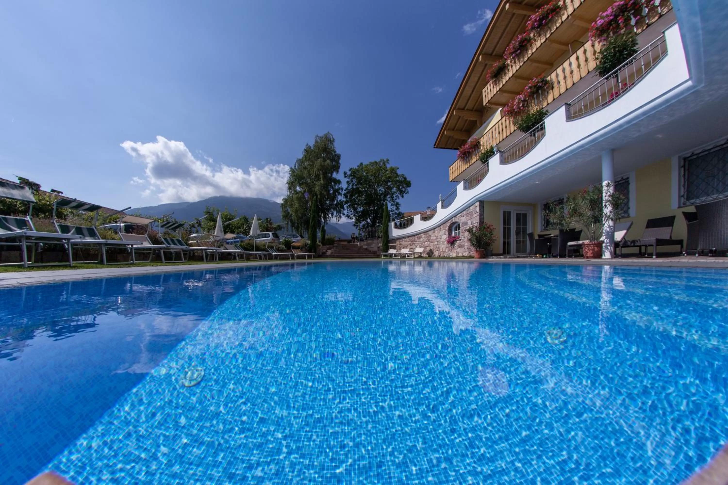 Swimming pool in Hotel Am Sonneck