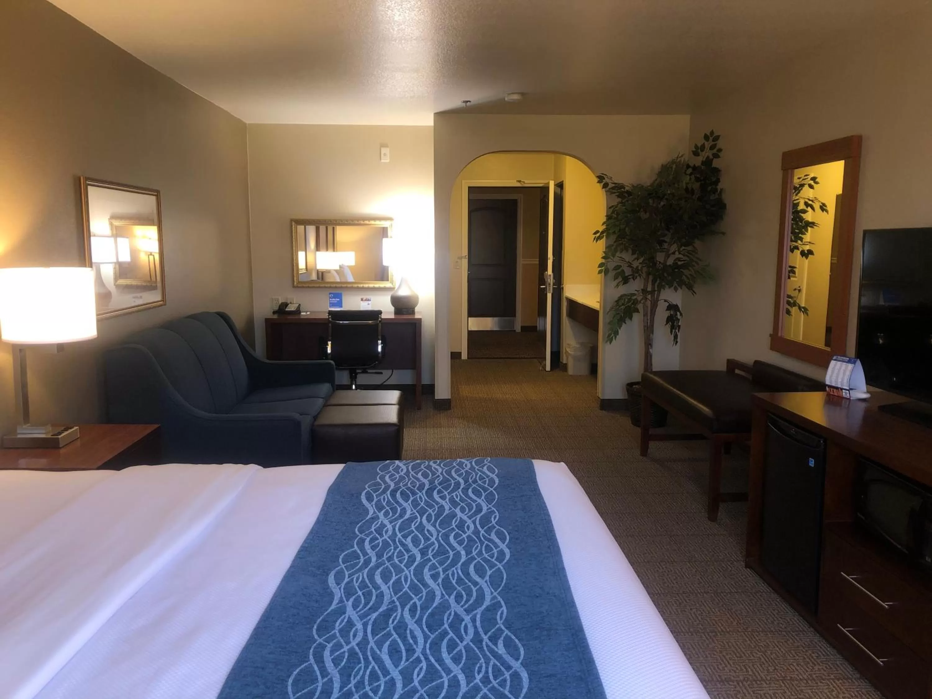 Photo of the whole room, Bed in Comfort Inn & Suites Ukiah Mendocino County