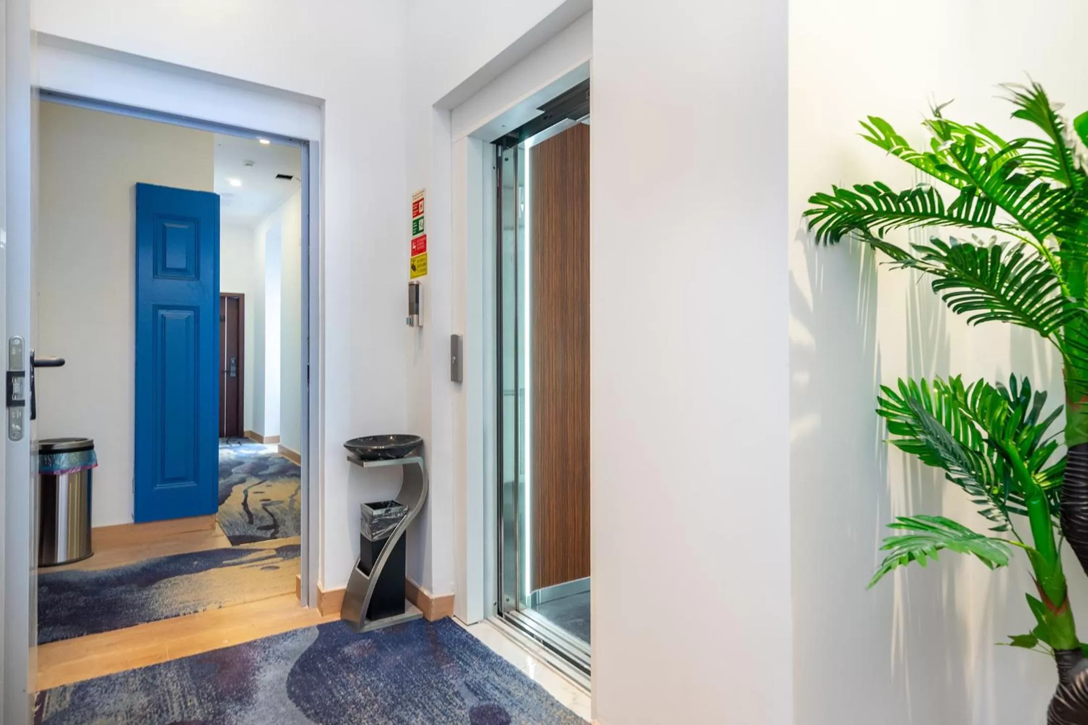 Area and facilities in Lisbon 5 Hotel