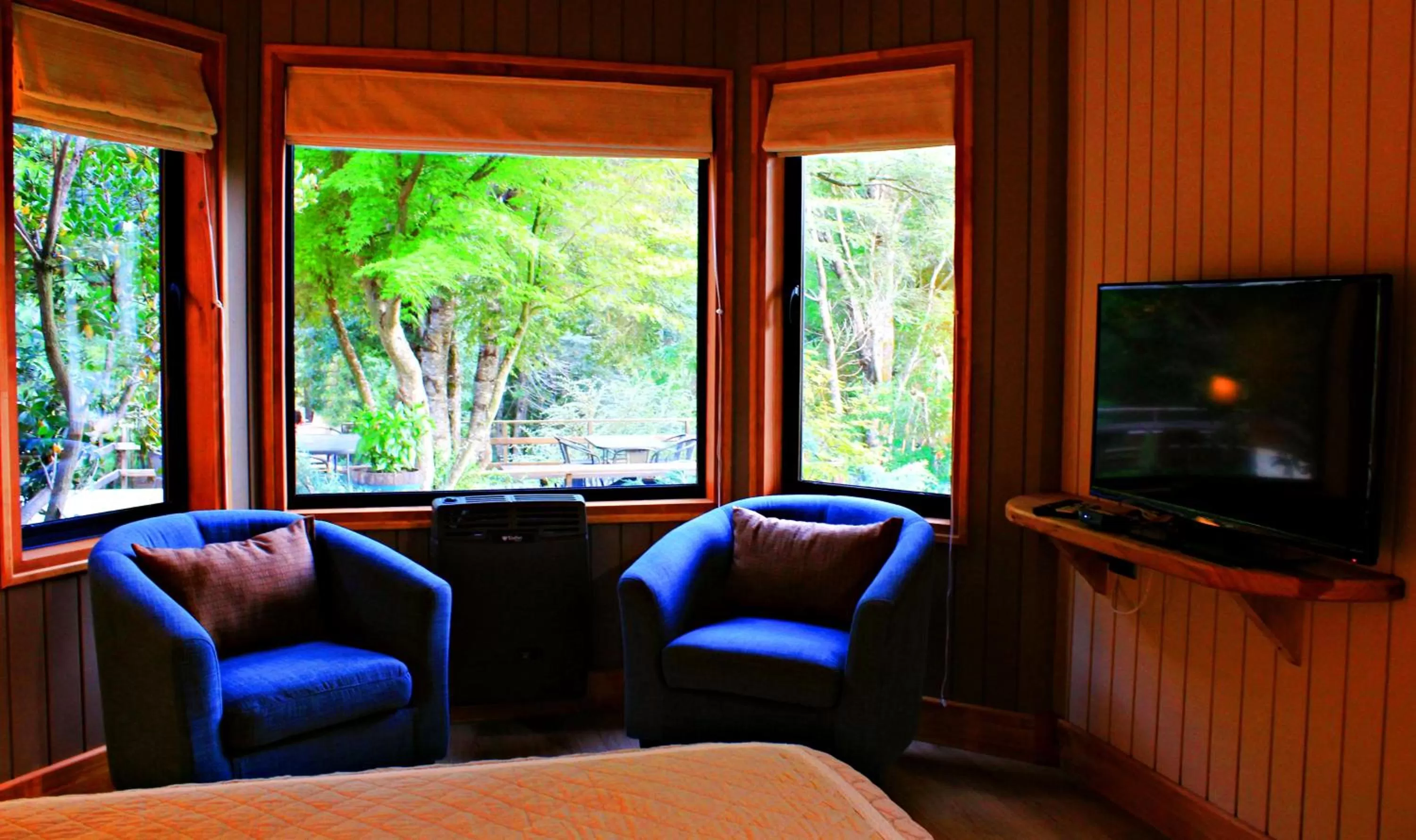Decorative detail, Lounge/Bar in Hotel Salto del Carileufu