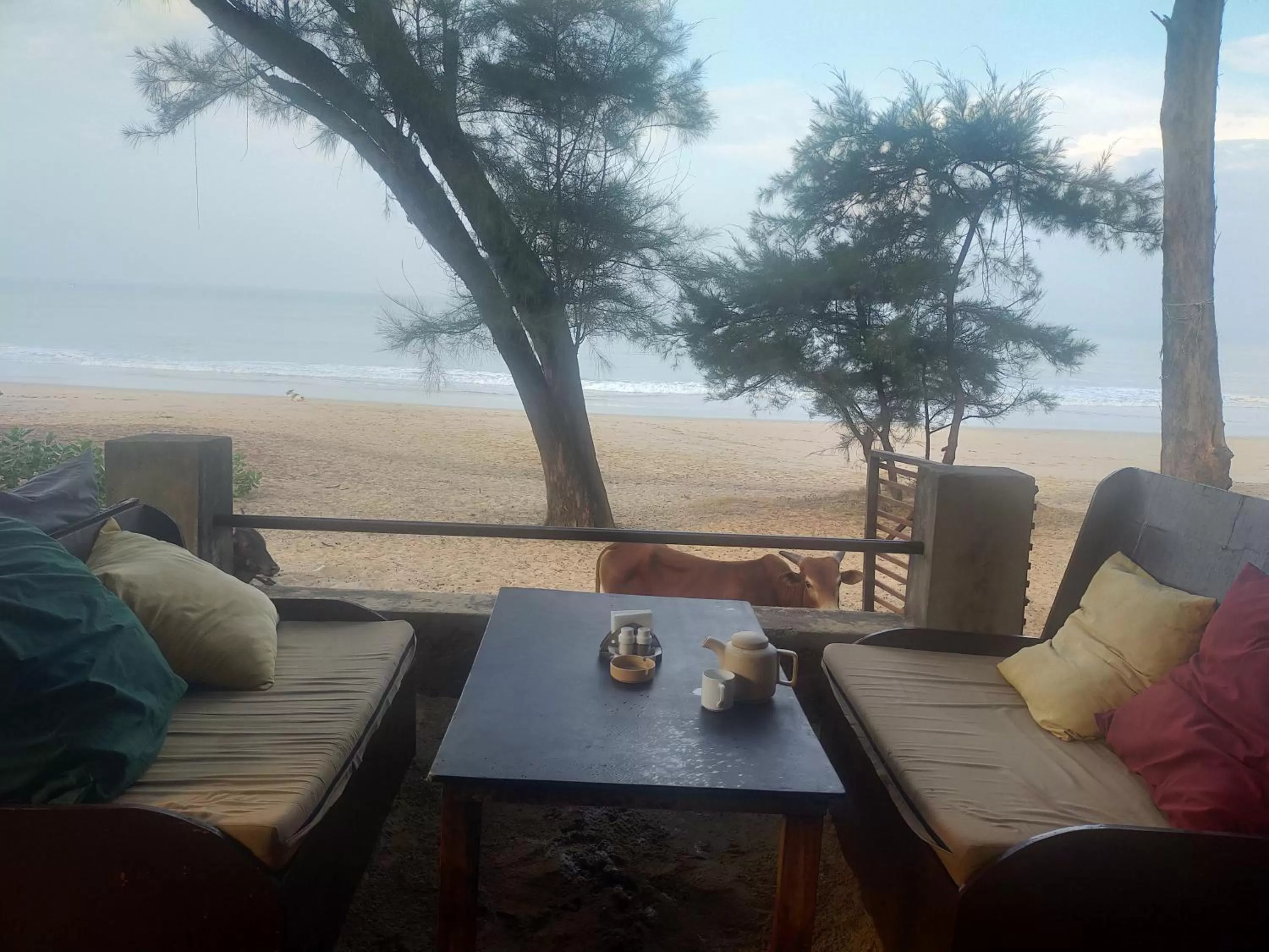 Natural landscape in Peace Garden Beach Resort