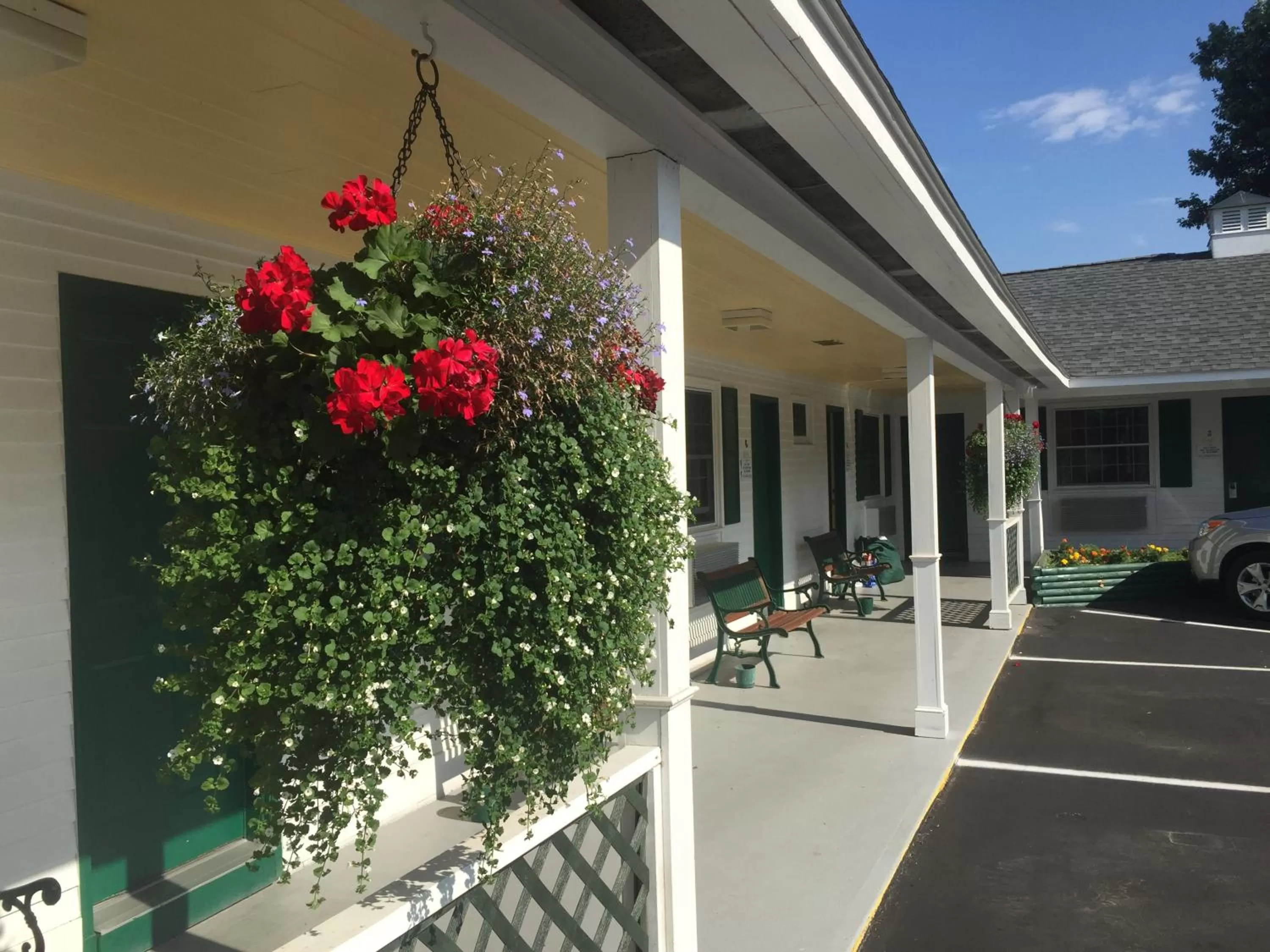 Day in Briarcliff Motel